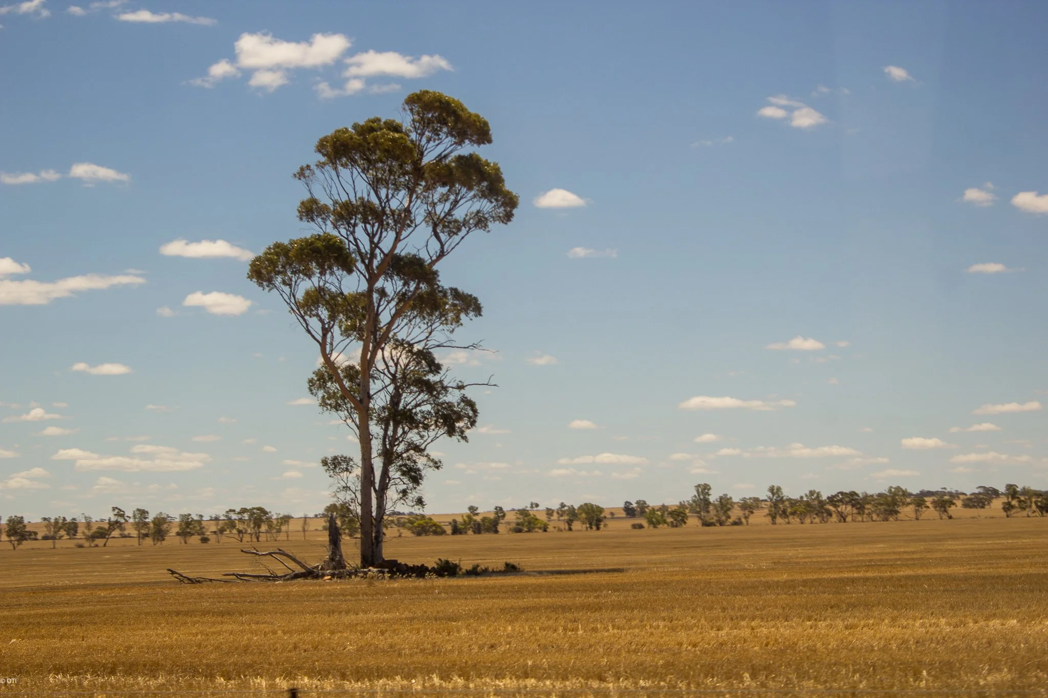 Perenjori, Western Australia