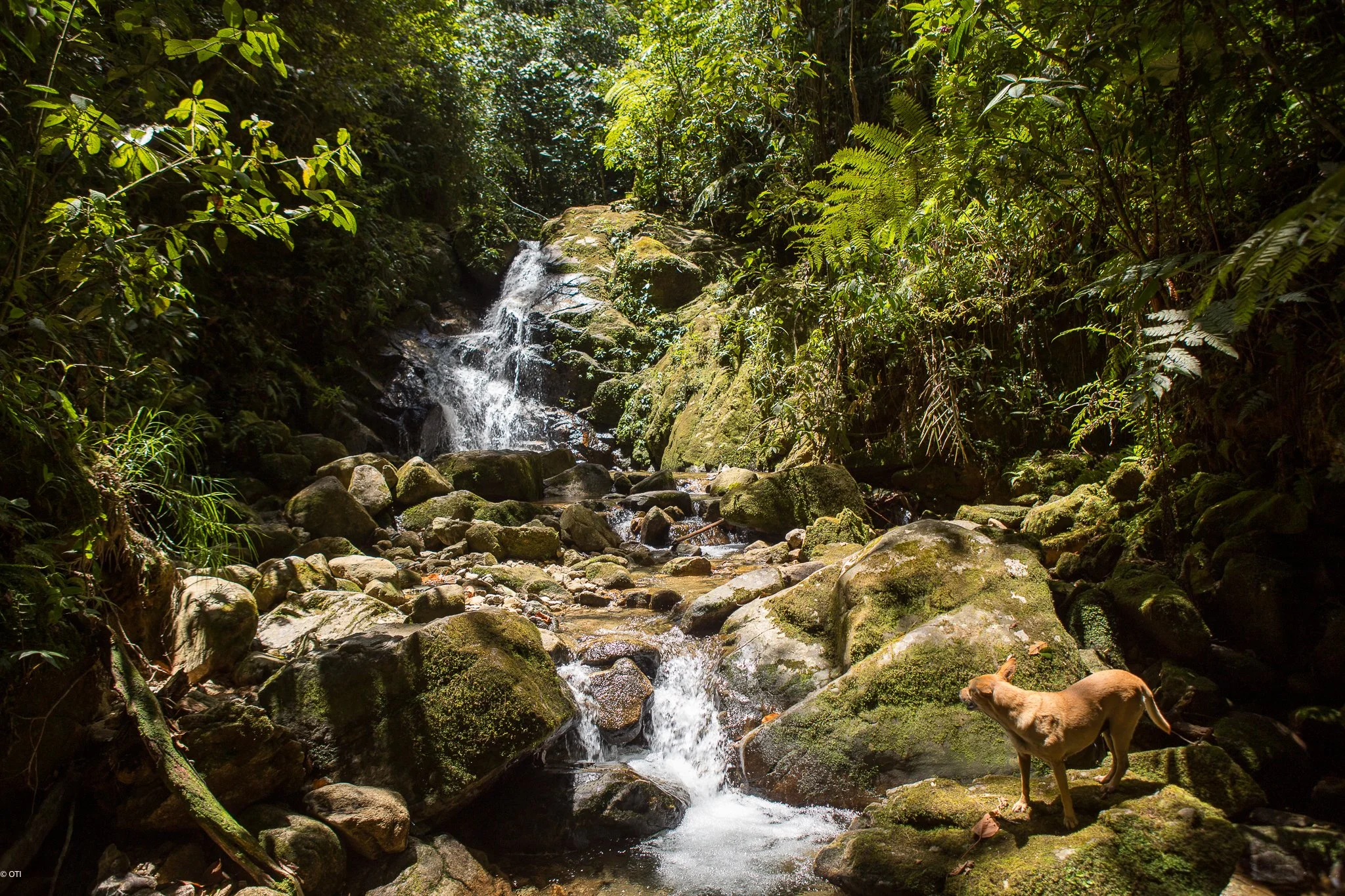 Waterfall near Guatapé, Colombia