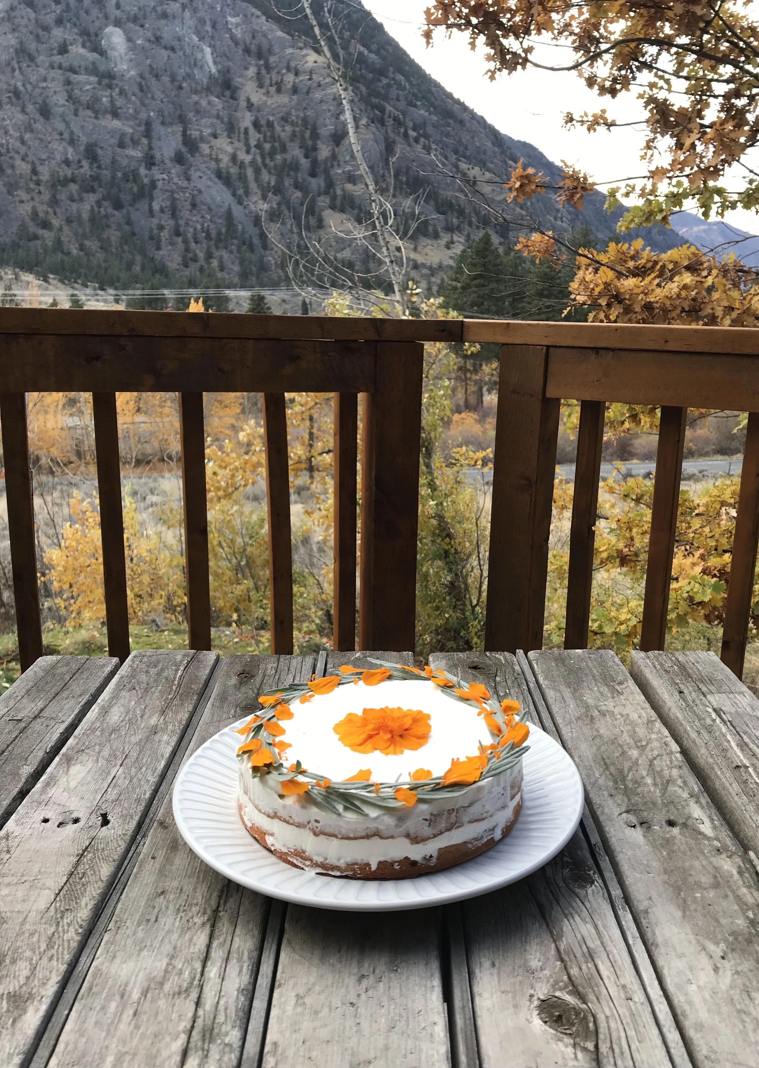 A special cake for Ali's birthday