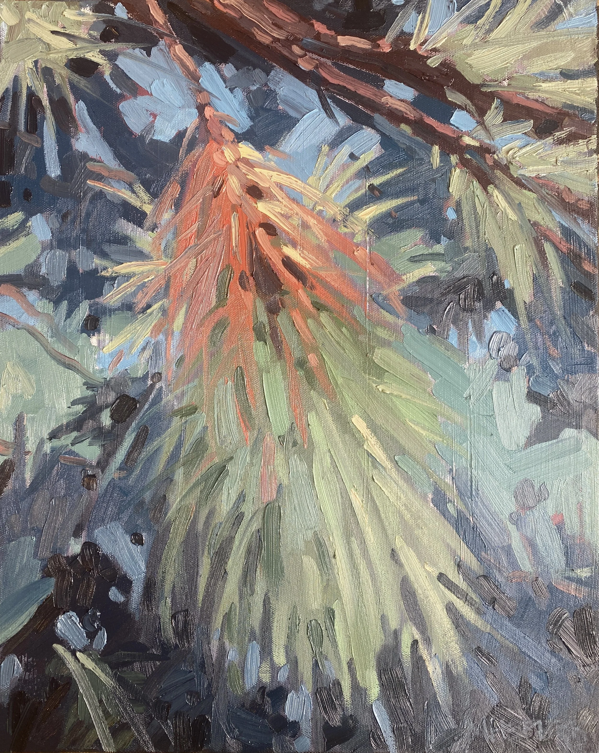 "Pondering Ponderosa" (2024), oil on canvas, 16 x 20 inches