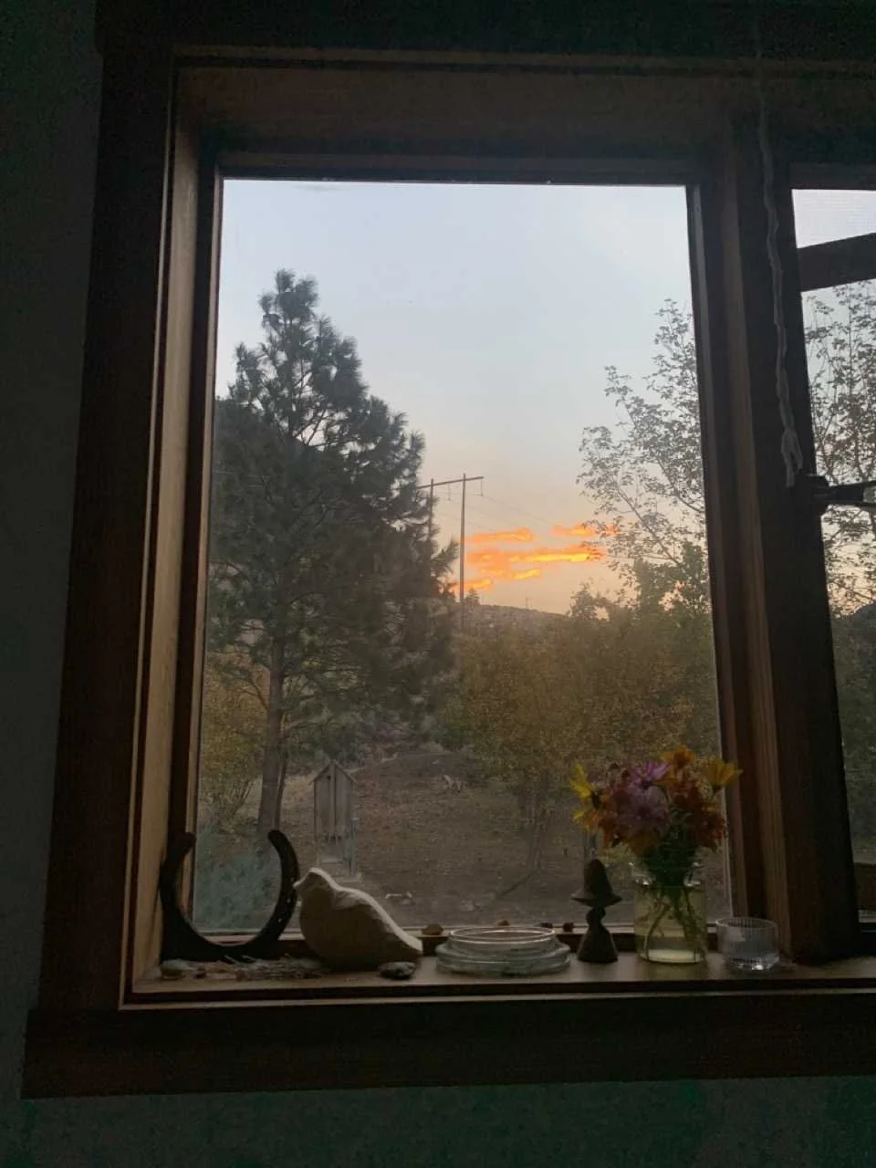 My_Window Large.jpeg