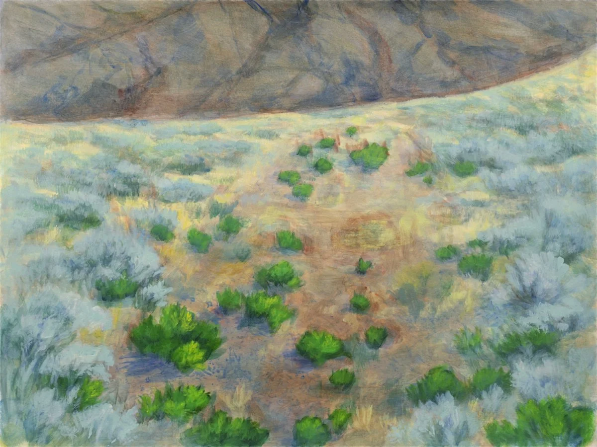 Similkameen 30, Marching Alfalfa, 18 x 24", May 2023, MW