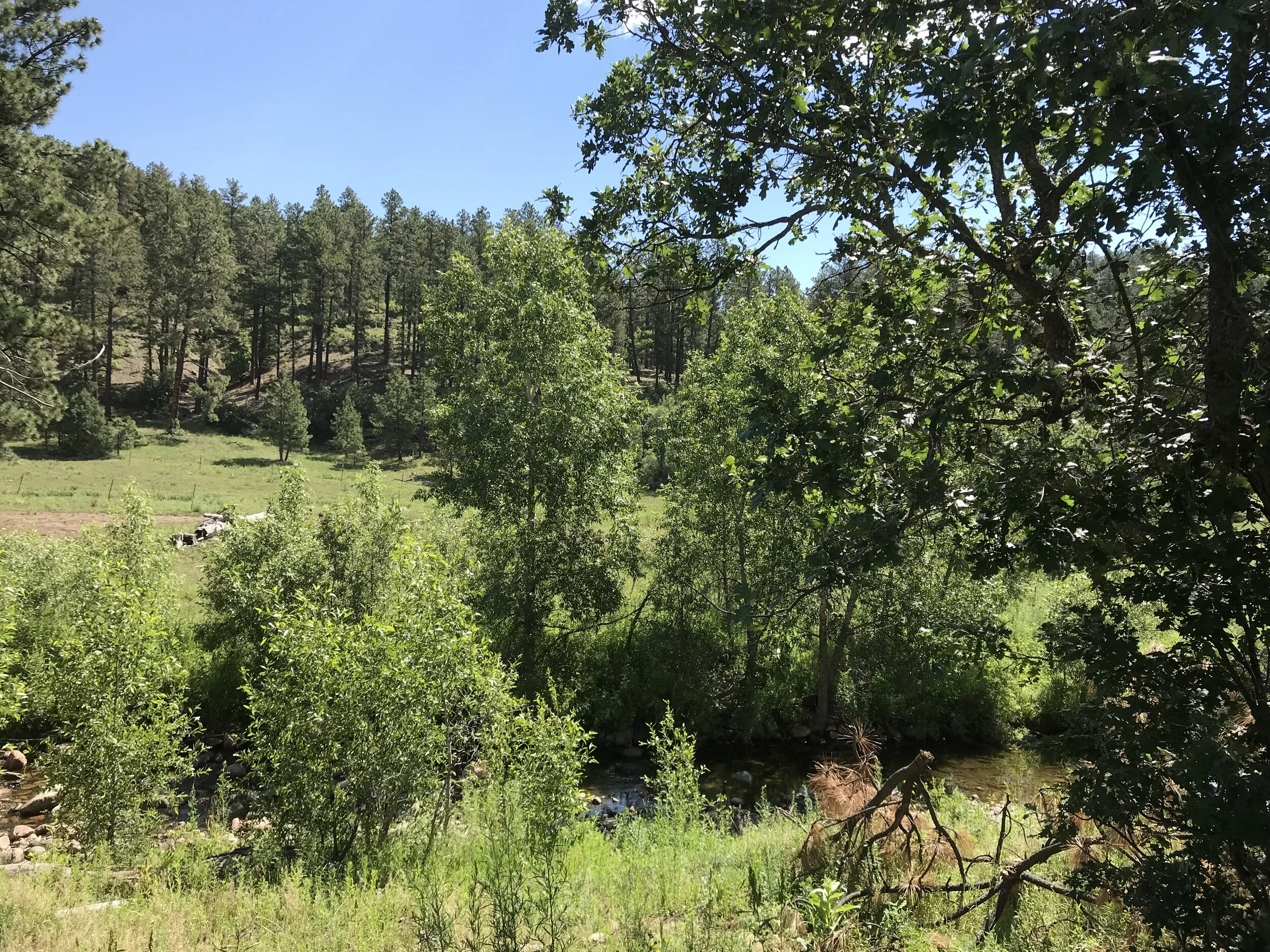 Location — Gallinas Tours