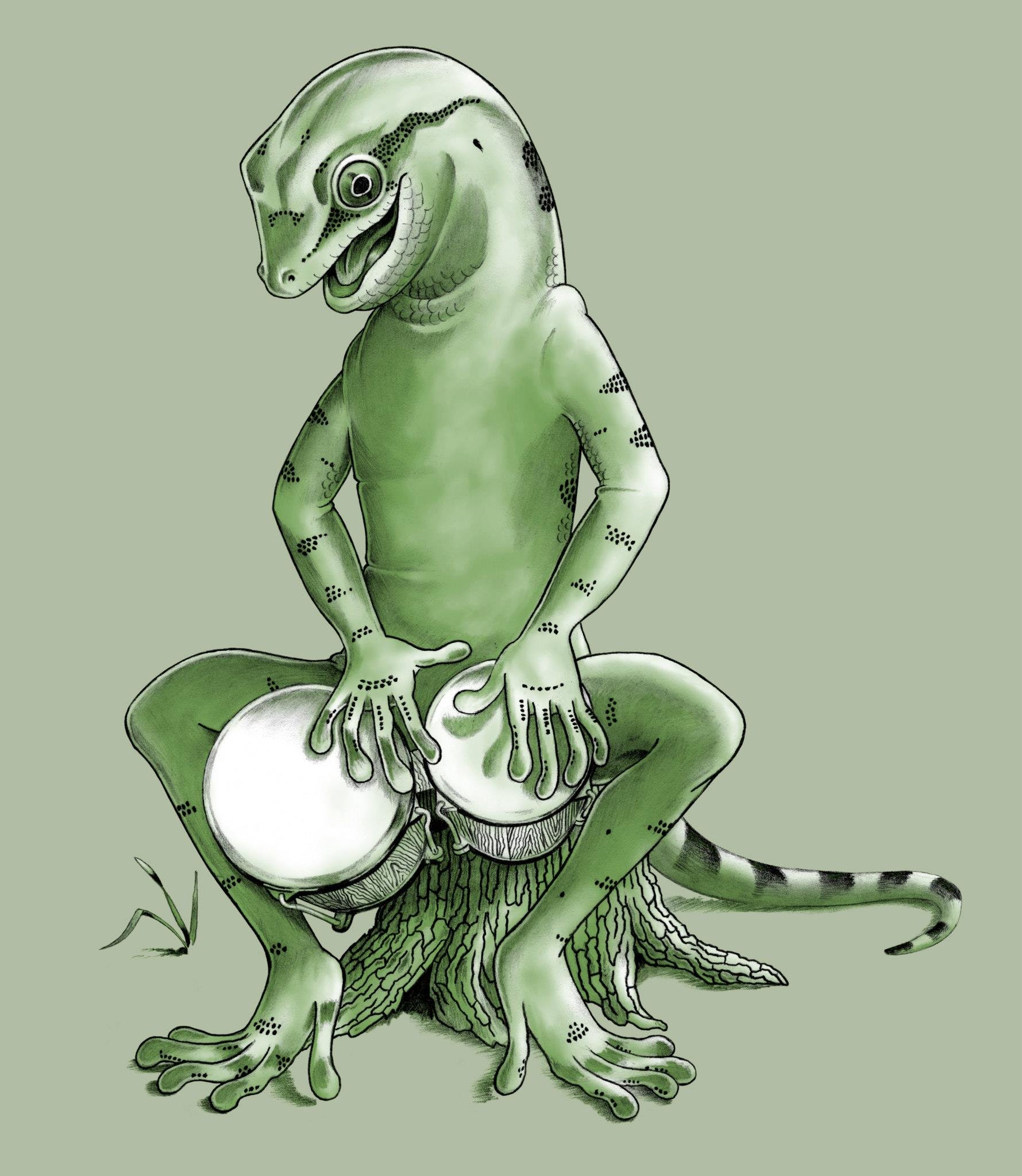 ILL_FB_Gecko_Bongo.jpg