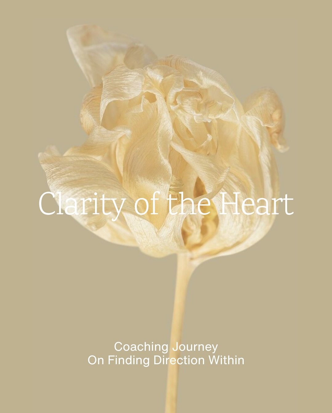 Sweet friends,

I&rsquo;m delighted to share a new coaching offer &lsquo;Clarity of the Heart&rsquo;, a 6-session, soul-led journey into truth, trust, and alignment. 

This is for women at a crossroads, feeling change stir within, and craving a deepe