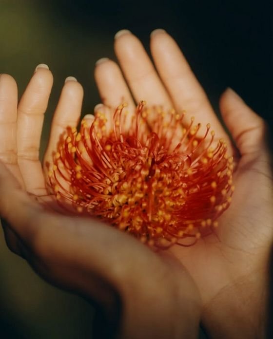 The Gift of Touch