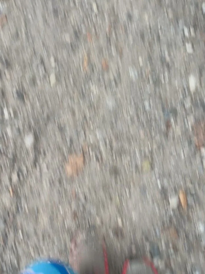 Last weekend I completed a 50 mile gear shakedown hike as prep for the Spine Race. I travelled from Mt. Monadnock to Mt. Sunapee&hellip;I&rsquo;ll give you one guess what was stuck in my head the whole time! 🎵 Finished up in perfect timing to settle