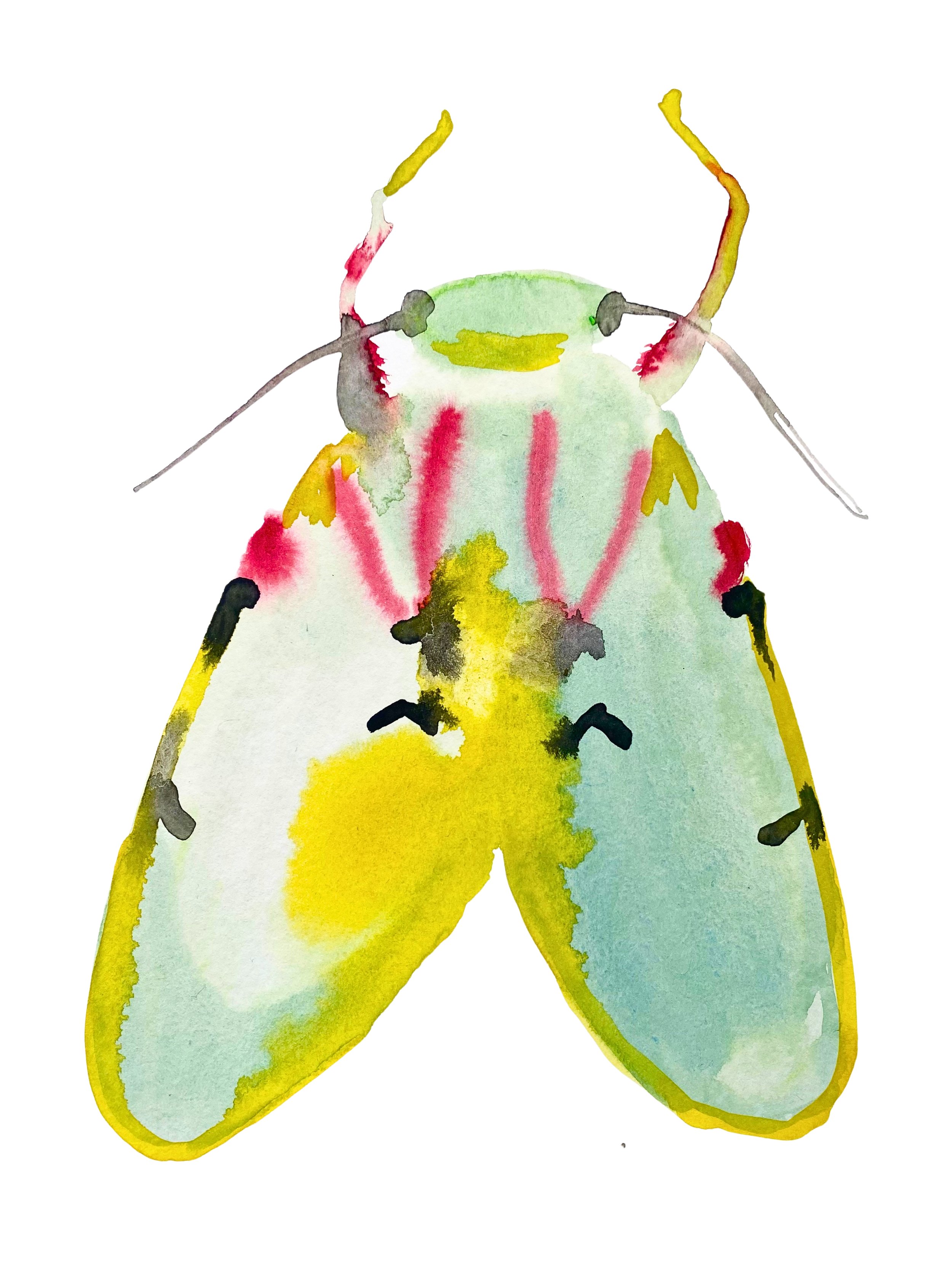 Organic Watercolors.zip - 8.jpeg