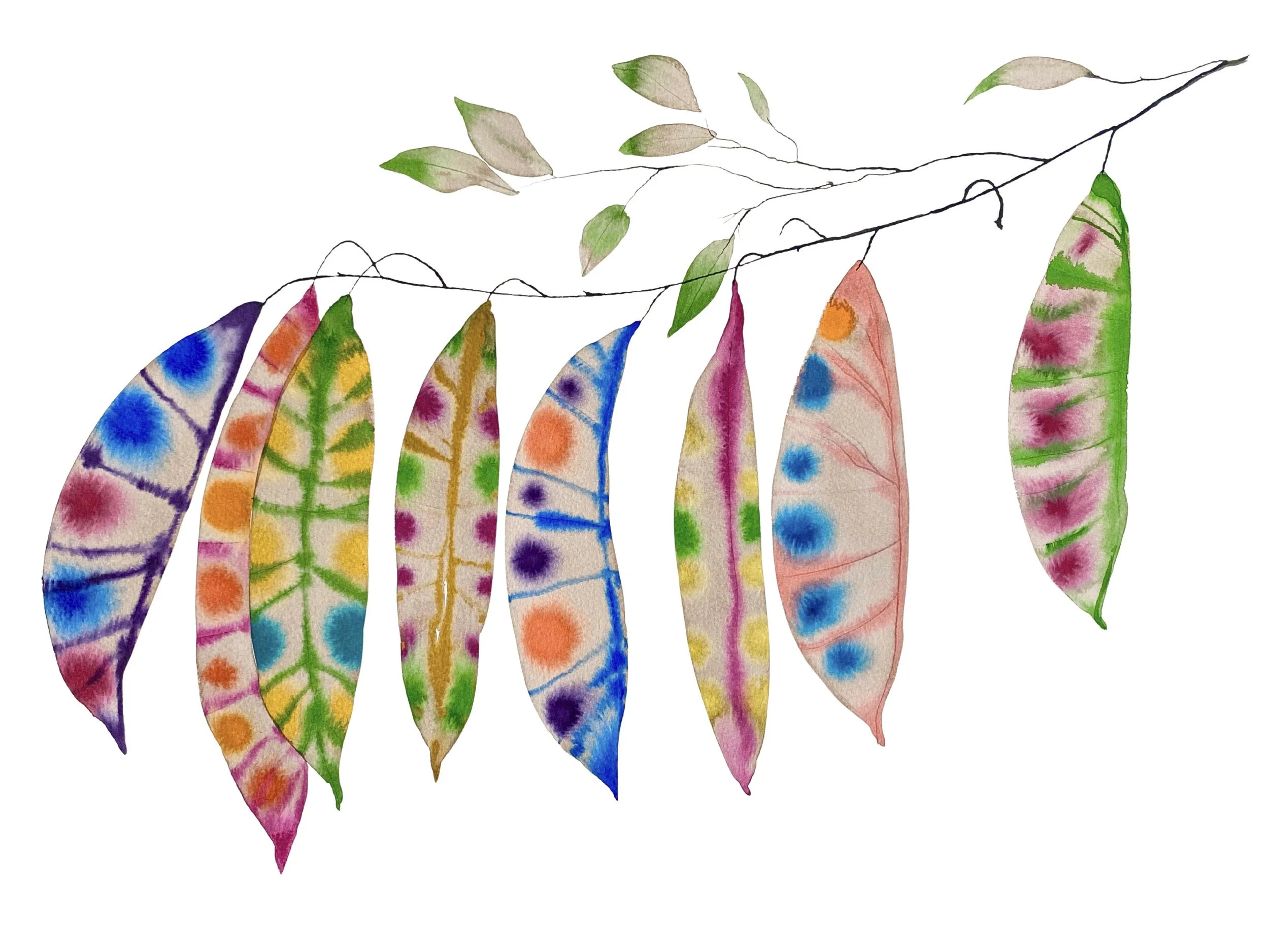 Organic Watercolors.jpeg