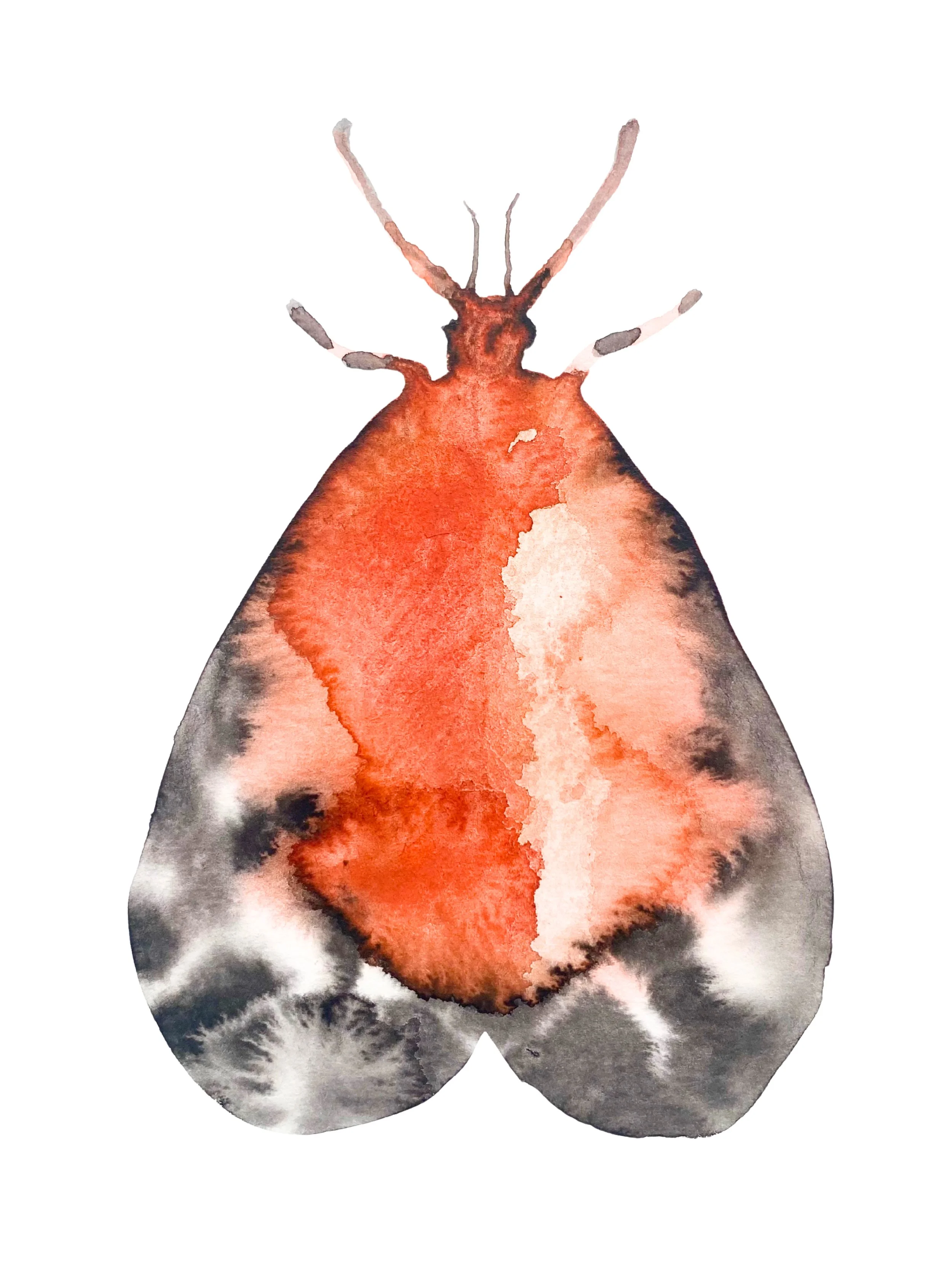 Organic Watercolors.zip - 9.jpeg