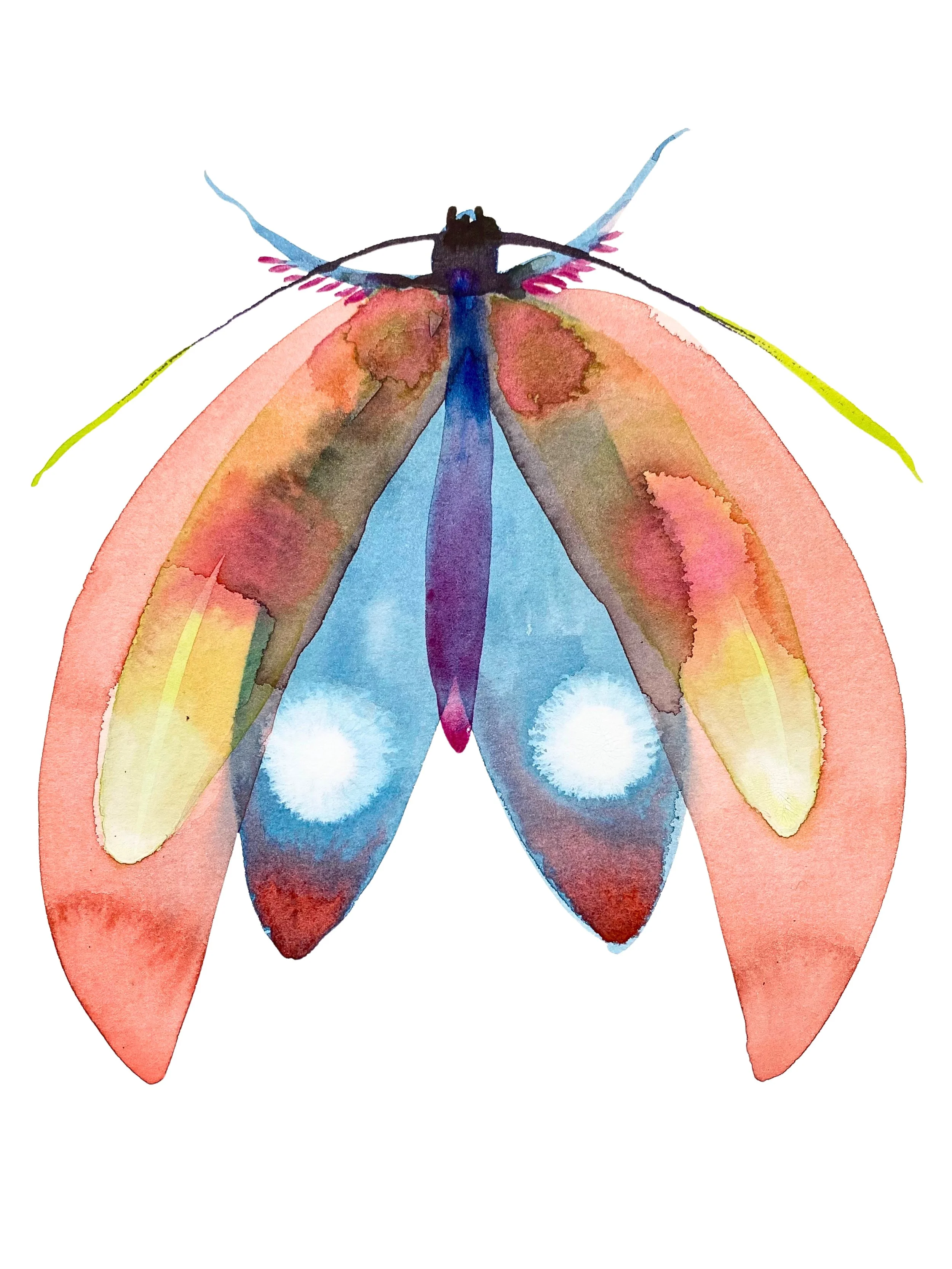 Organic Watercolors - 8.jpeg