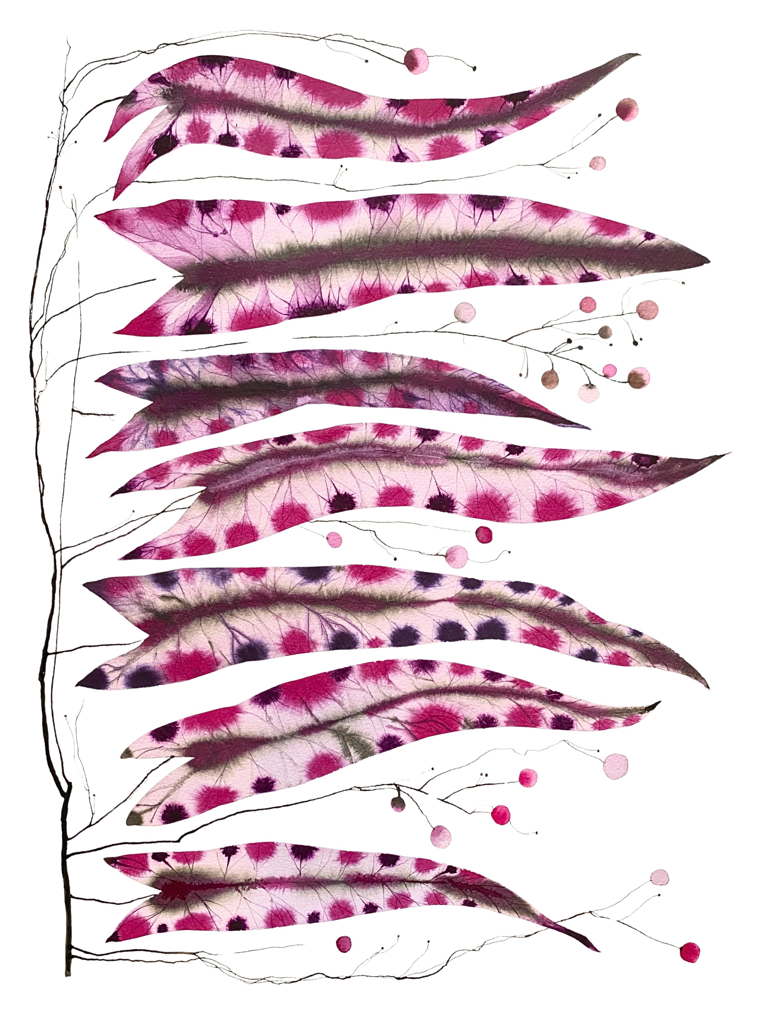 Organic Watercolors.jpeg