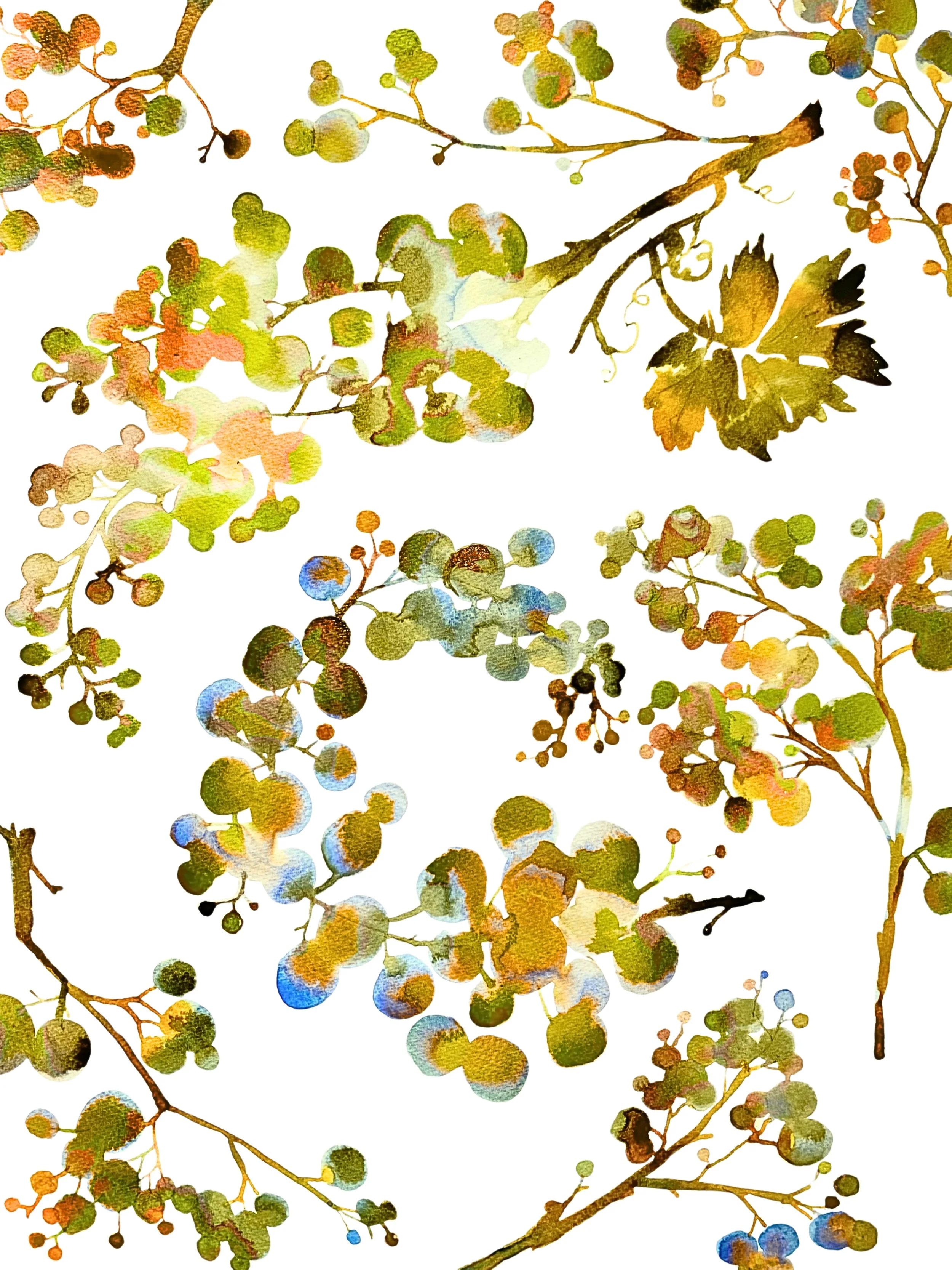 Organic Watercolors.jpg