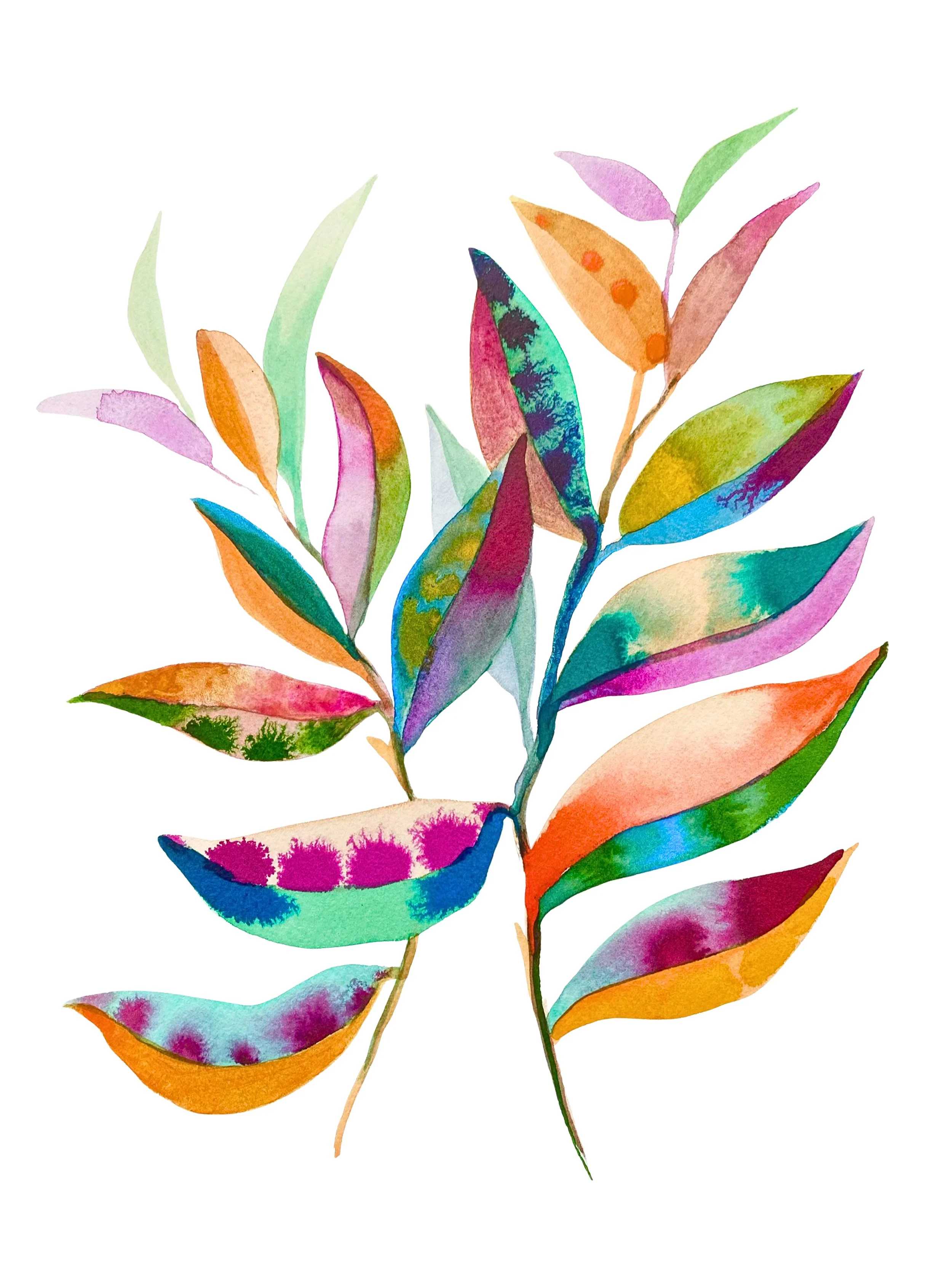 Organic Watercolors.jpeg