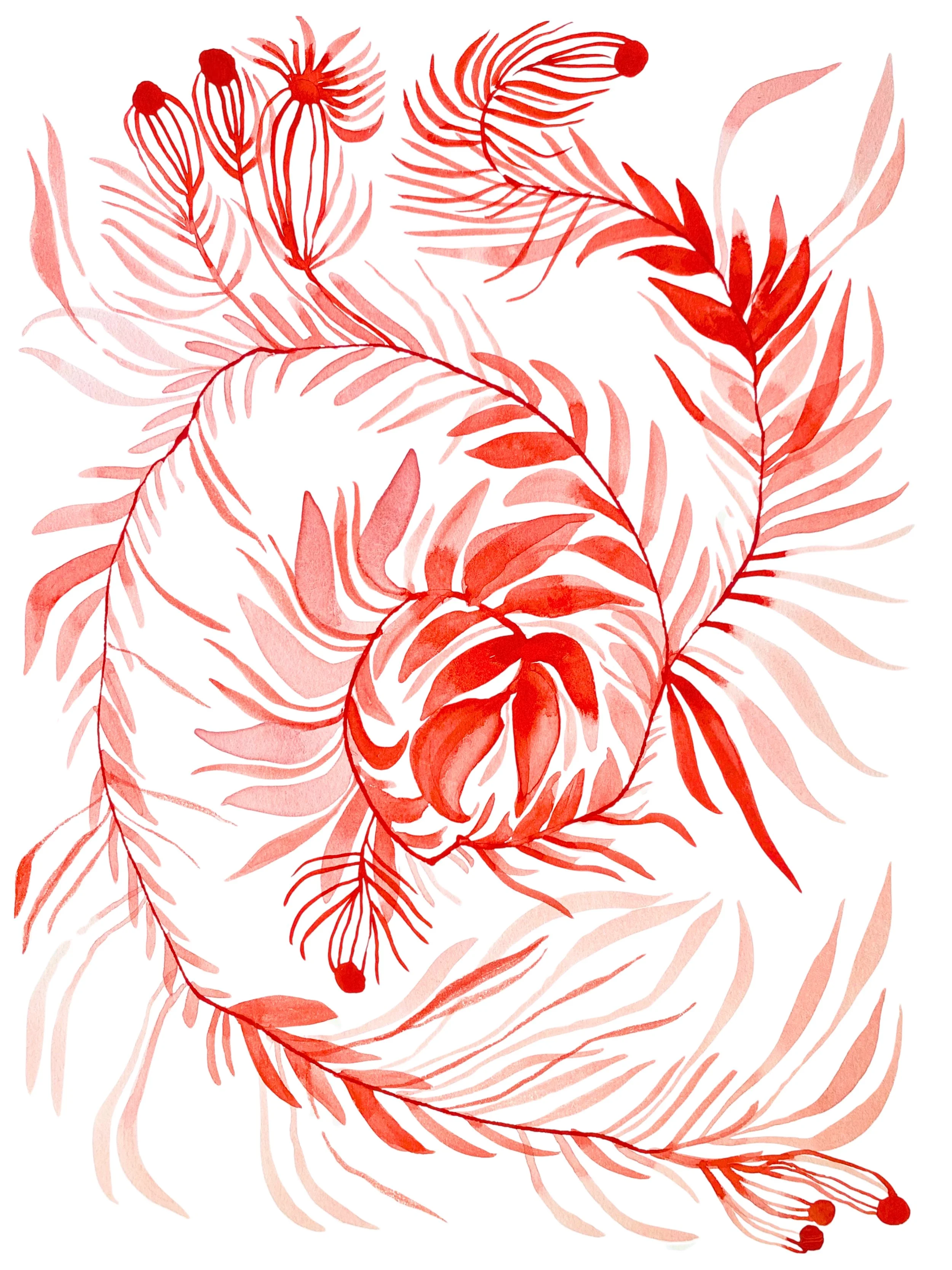 Organic Watercolors.jpeg
