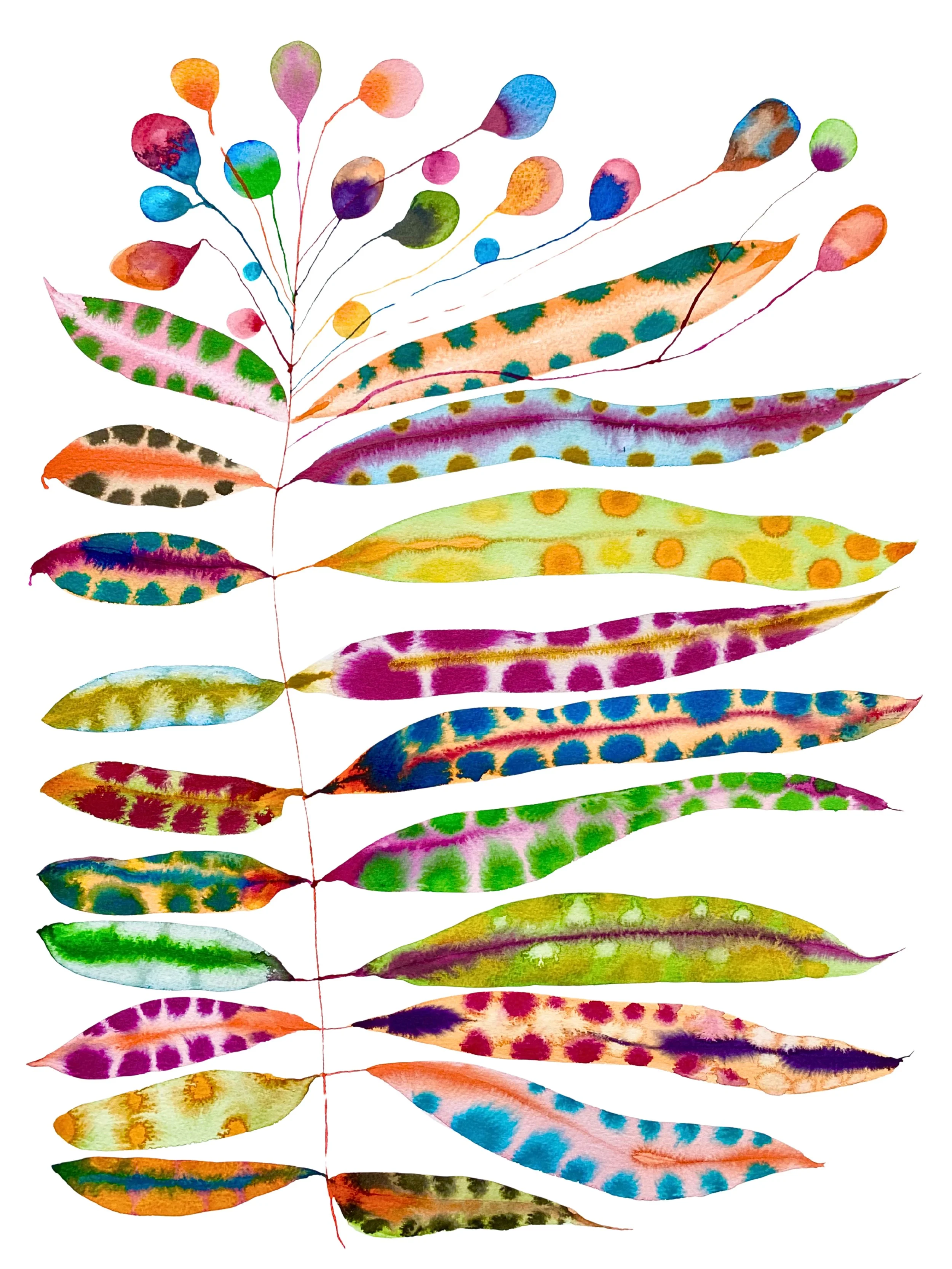 Feather Plant 1