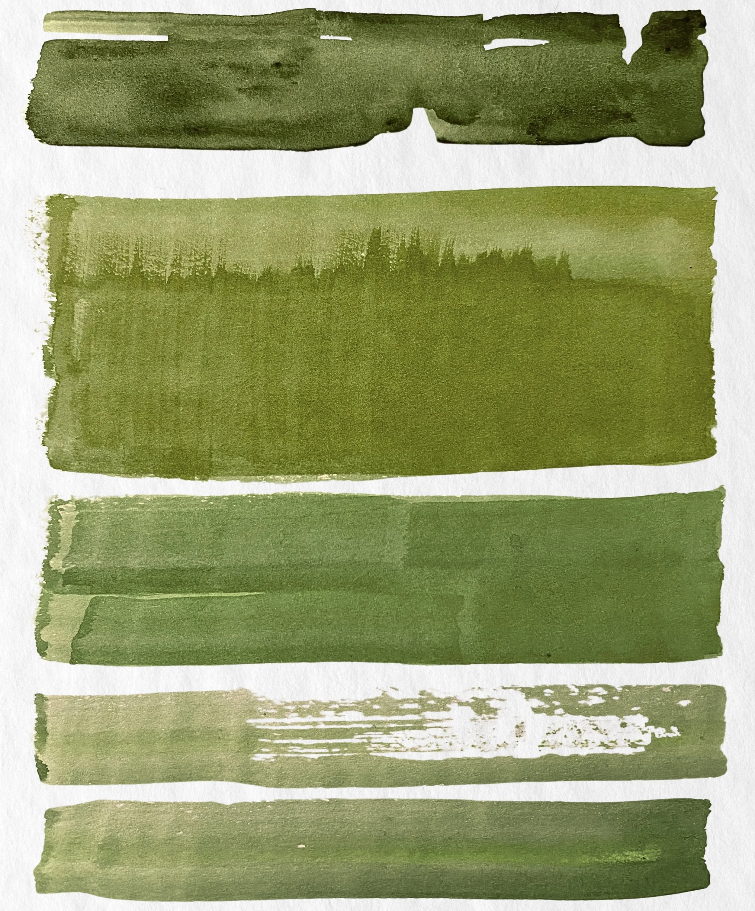 Organic Watercolors.jpg