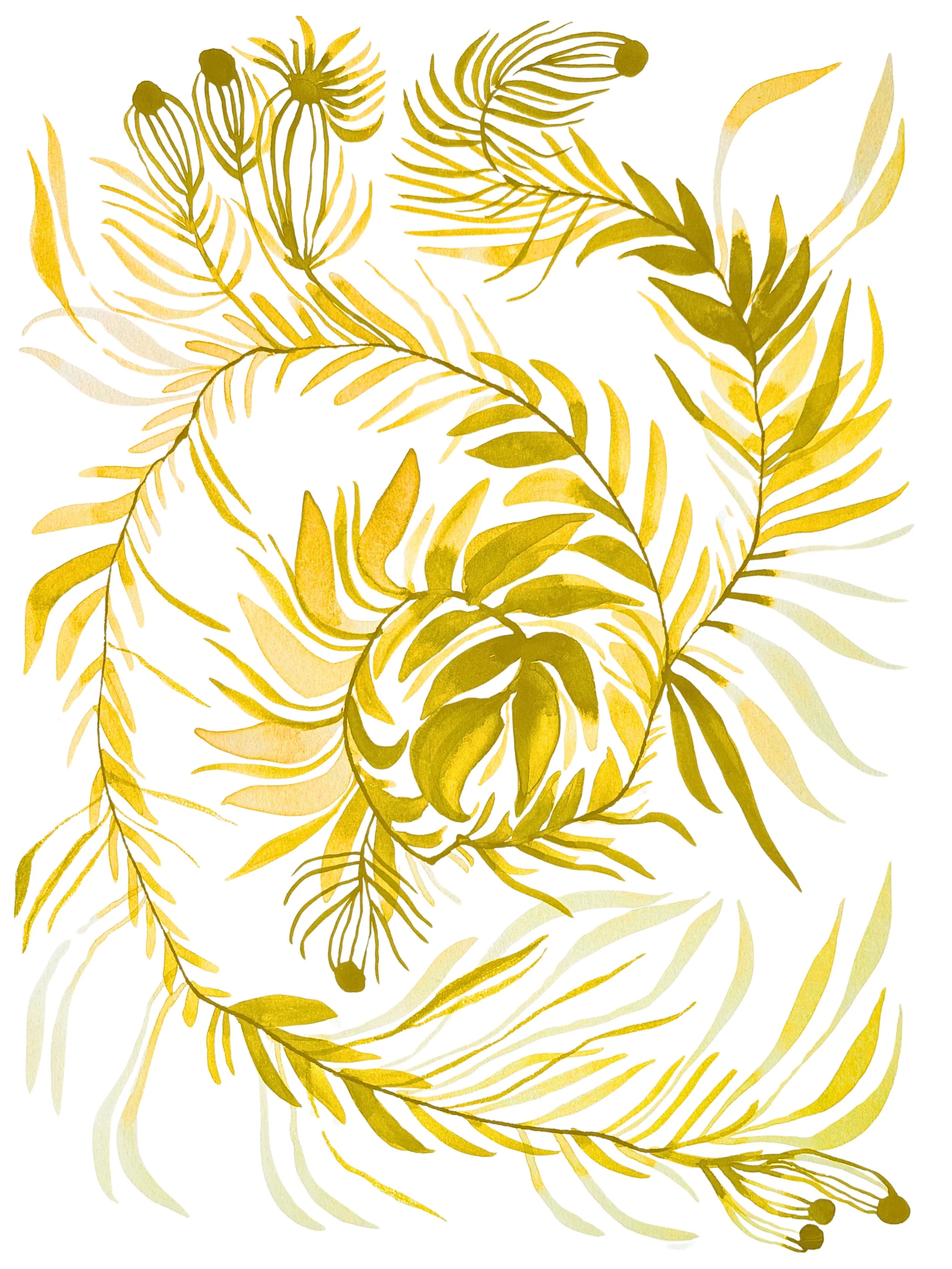 Organic Watercolors - 2.jpeg