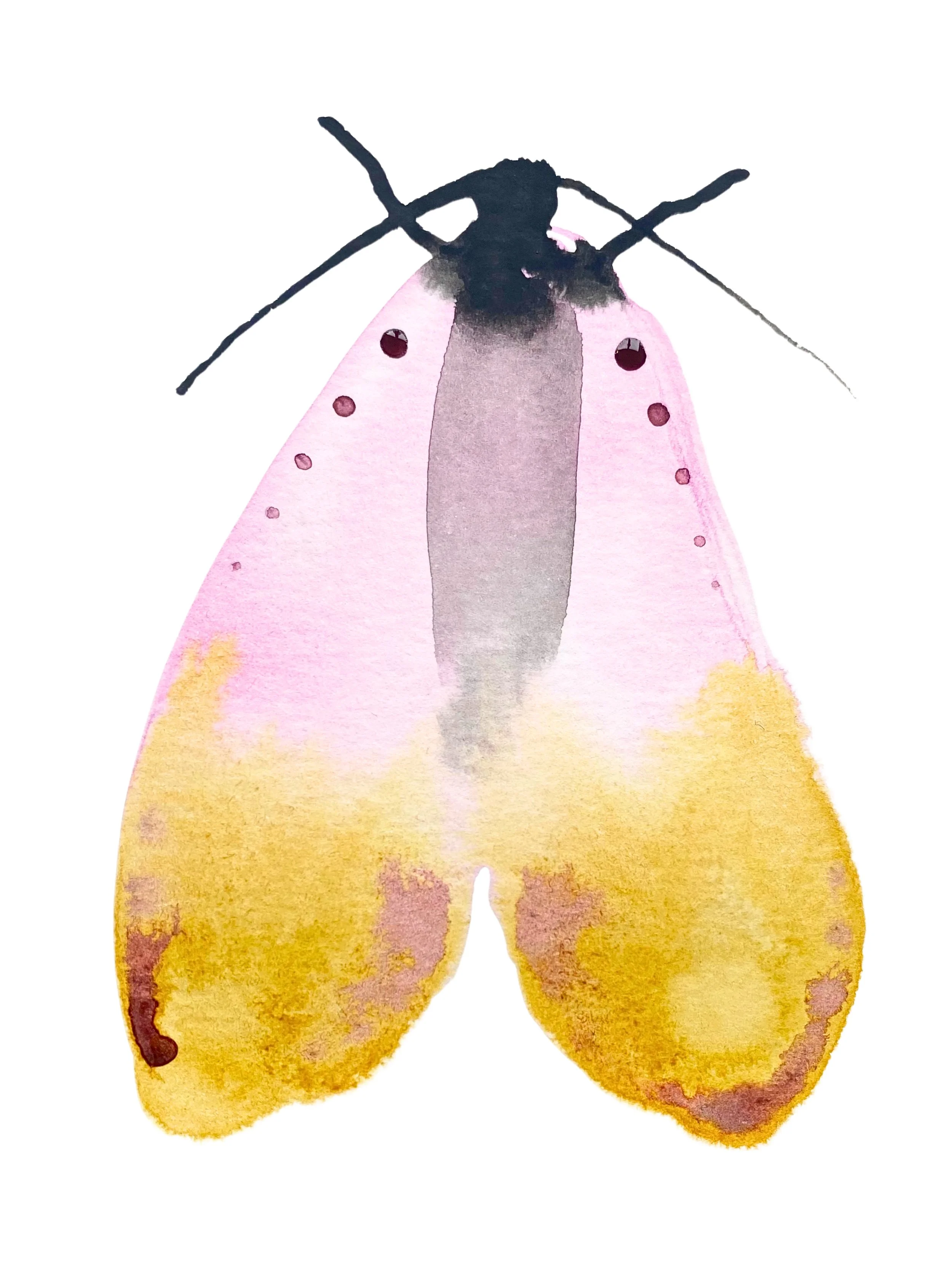 Organic Watercolors.zip - 10.jpeg