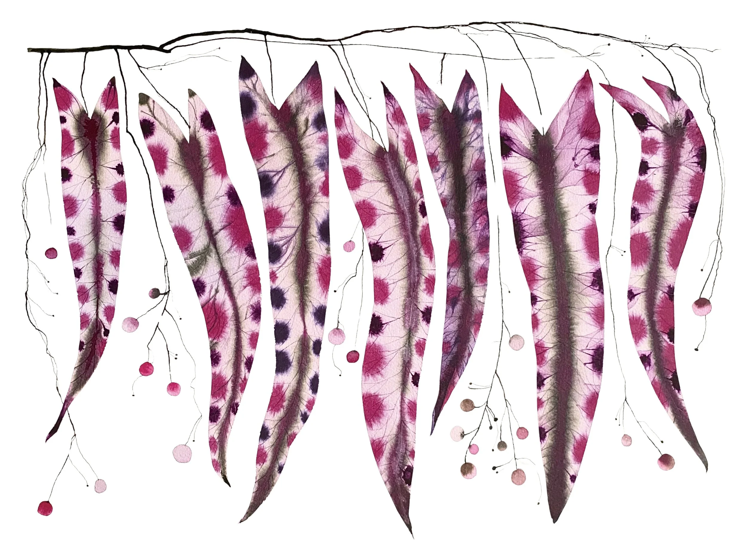 Organic Watercolors.jpeg