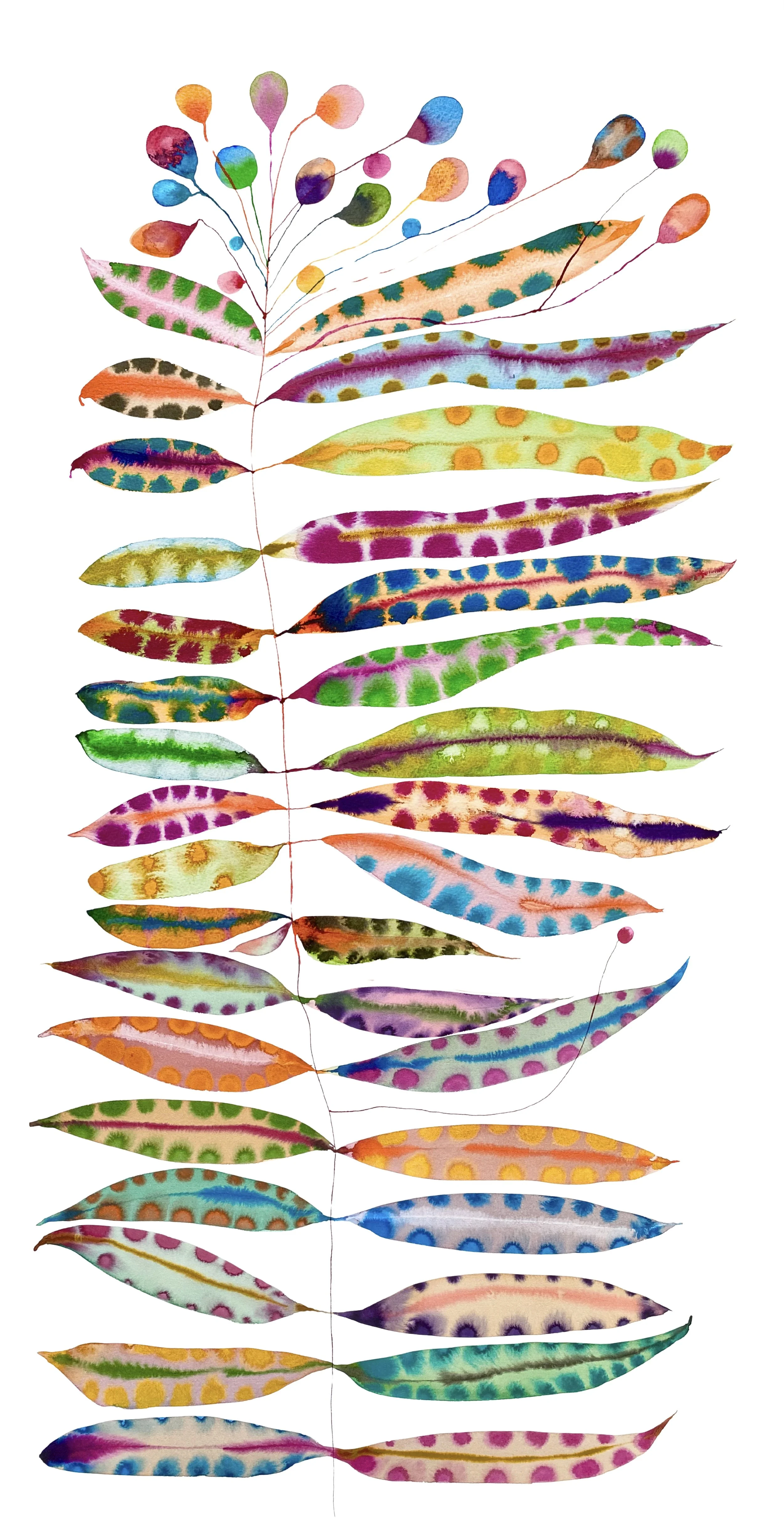 Organic Watercolors.jpeg