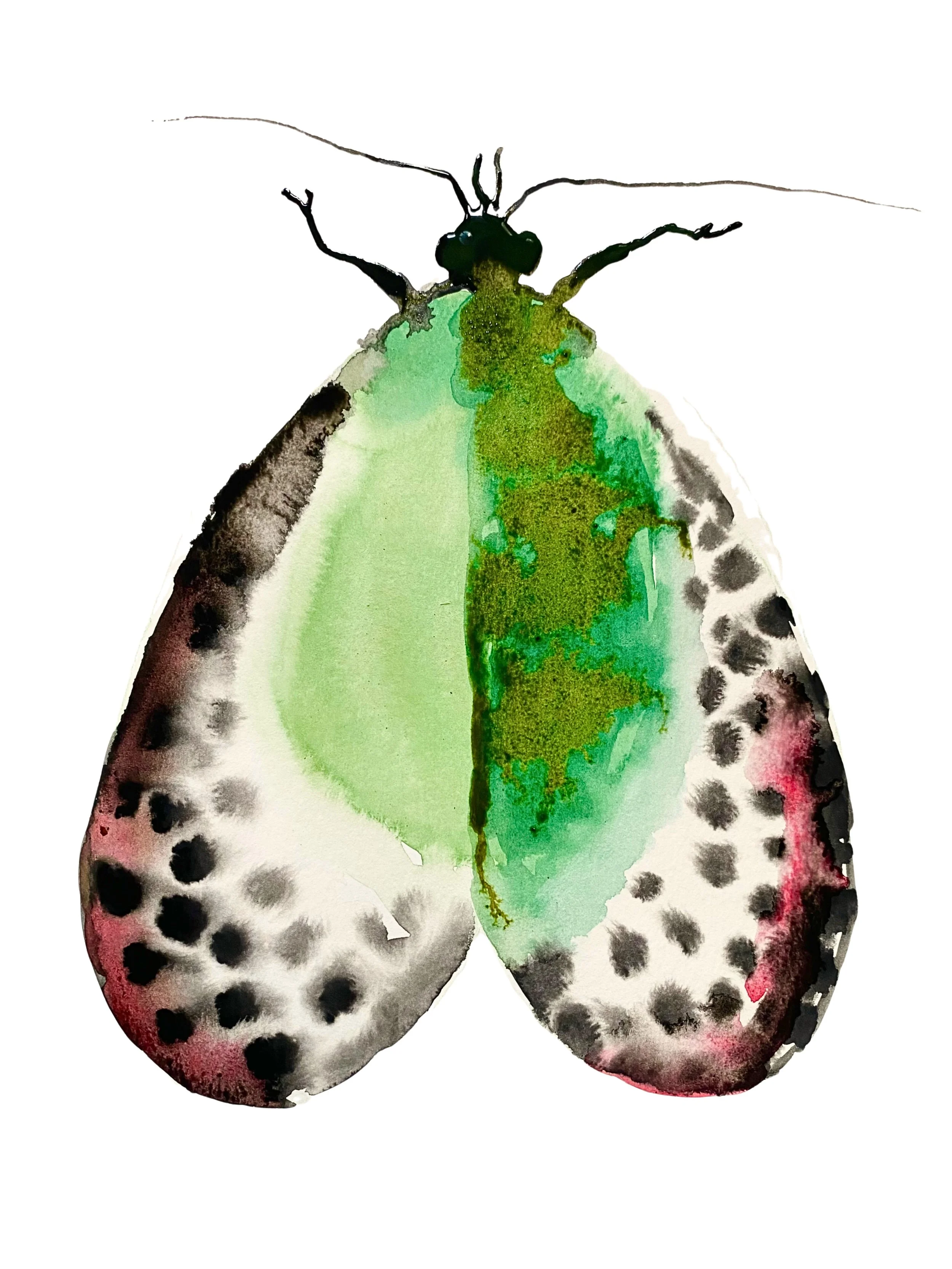 Organic Watercolors.zip - 2.jpeg