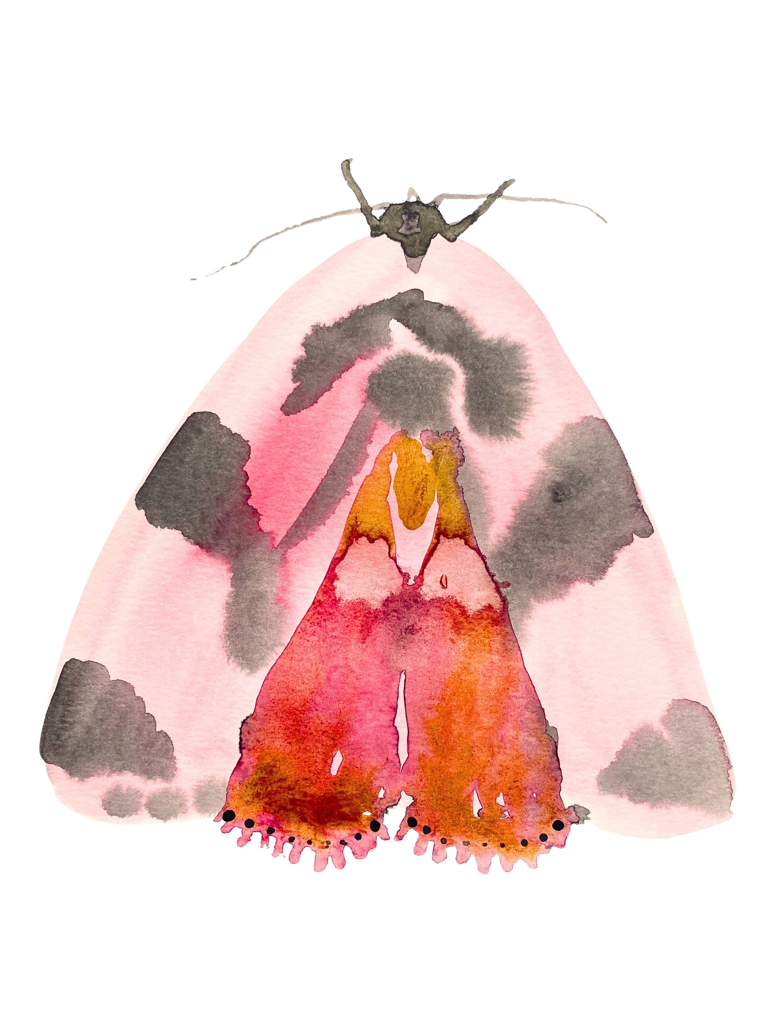 Organic Watercolors.zip - 7.jpeg