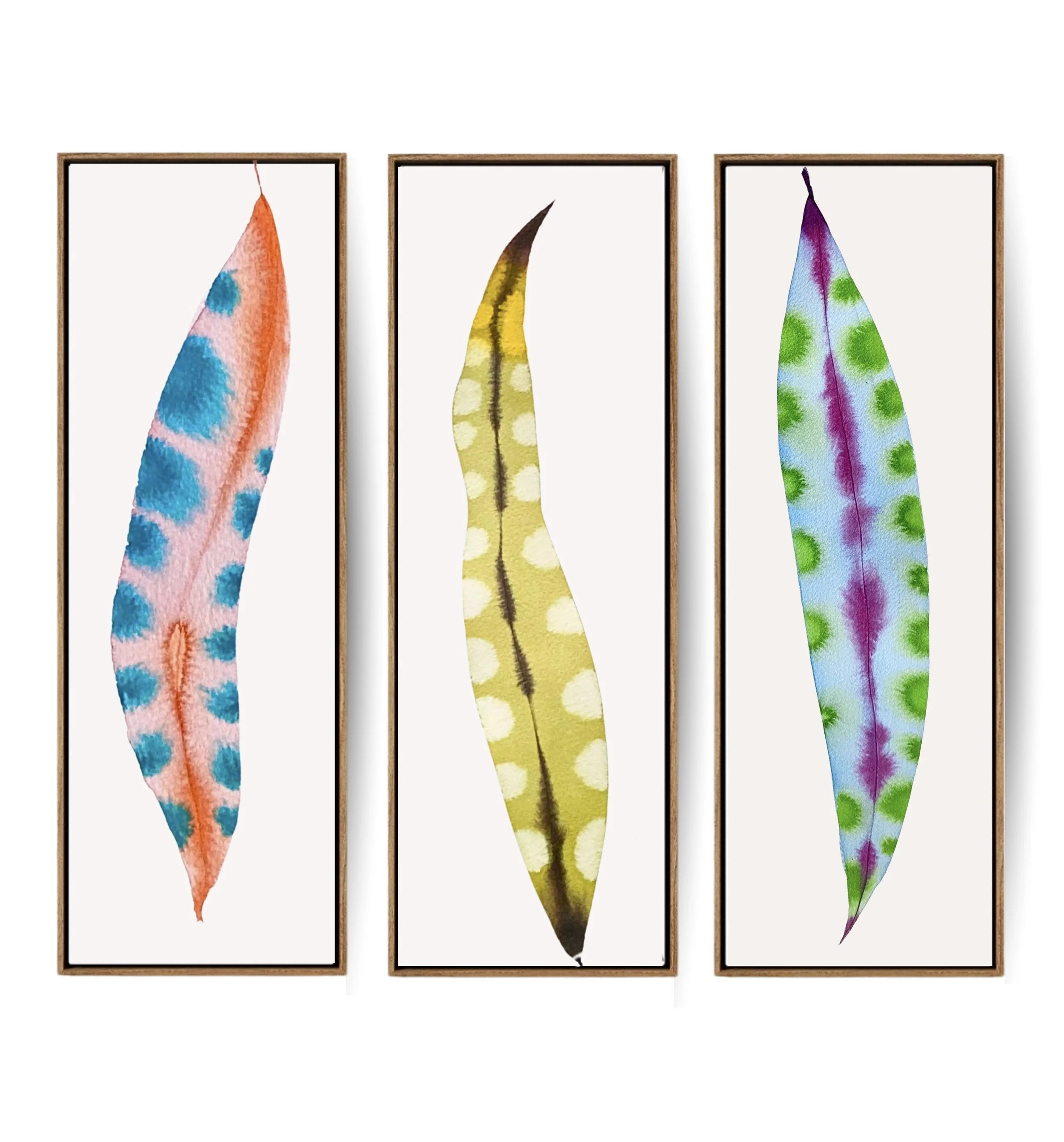 Feather Plant Triptych