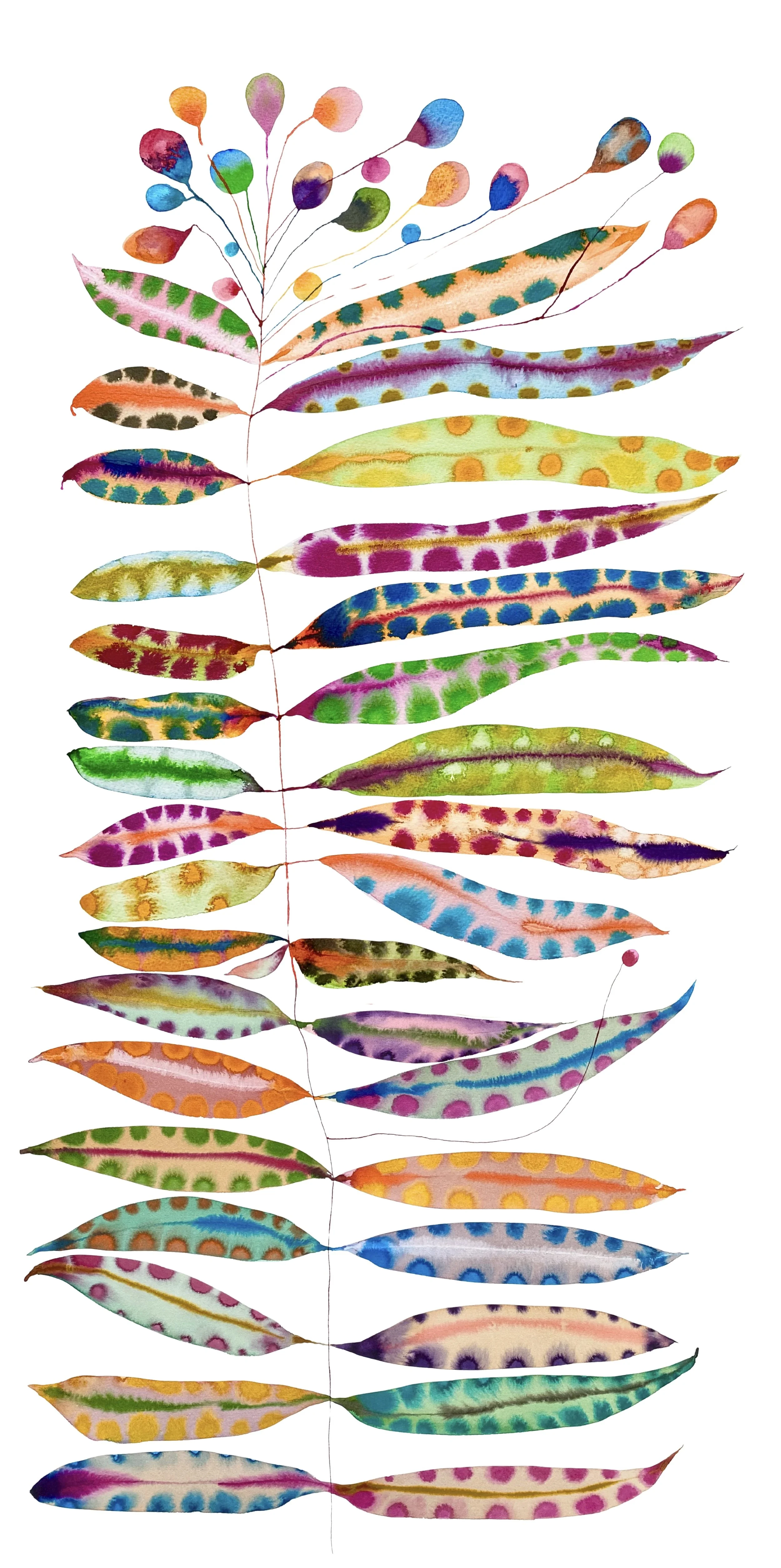 Organic Watercolors.jpeg