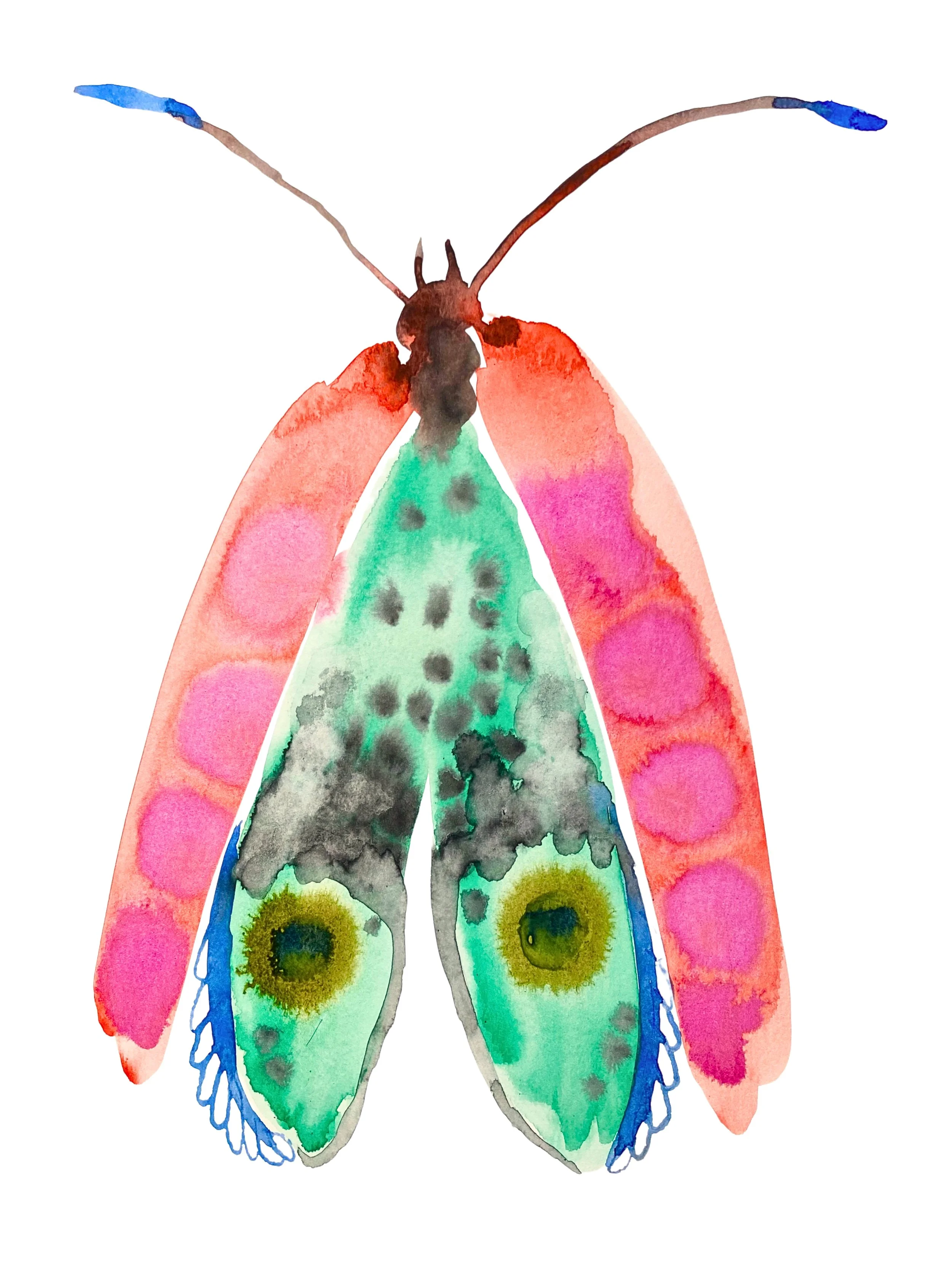 Organic Watercolors.zip - 6.jpeg