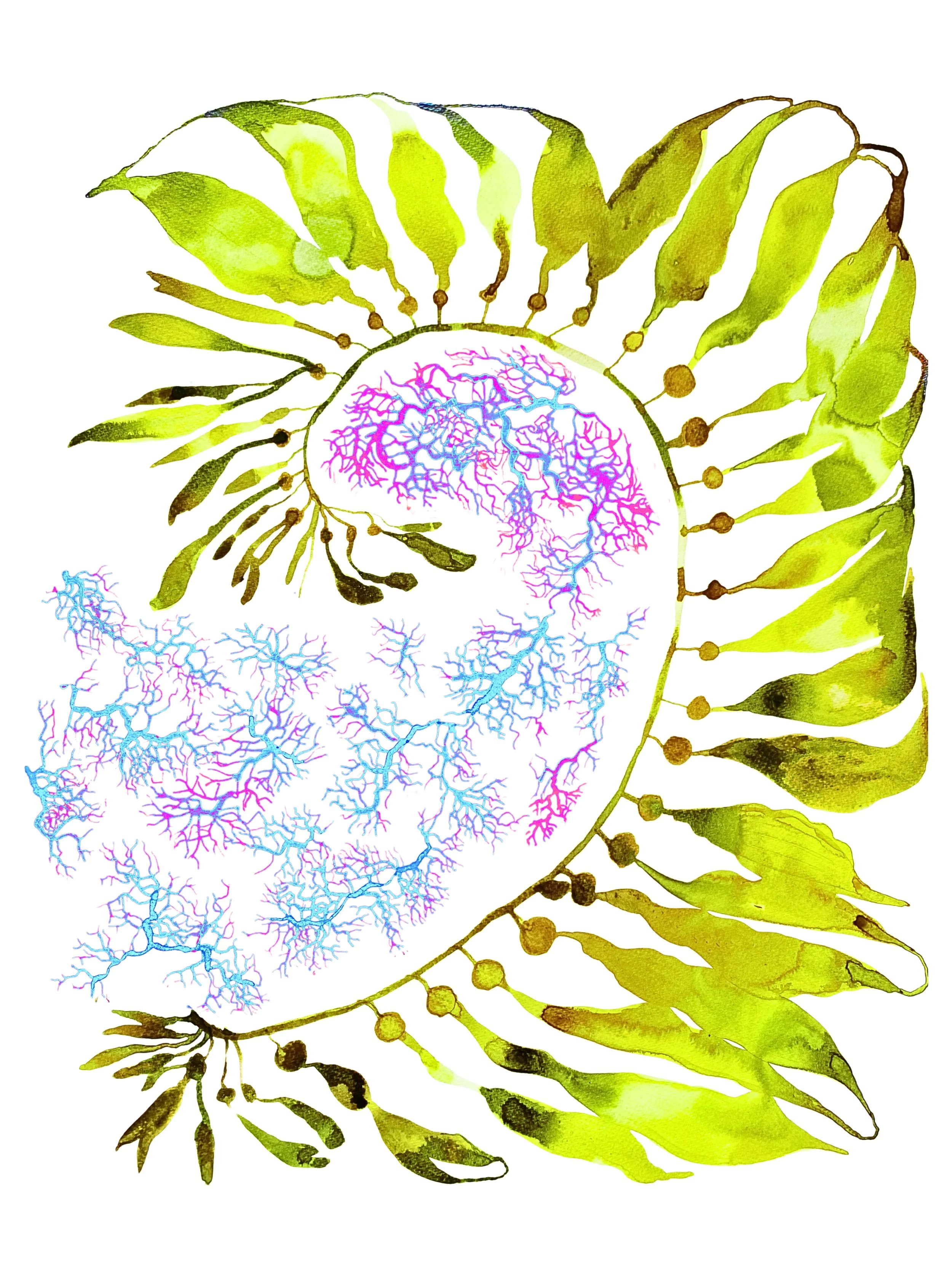 Organic Watercolors.zip - 9.jpeg