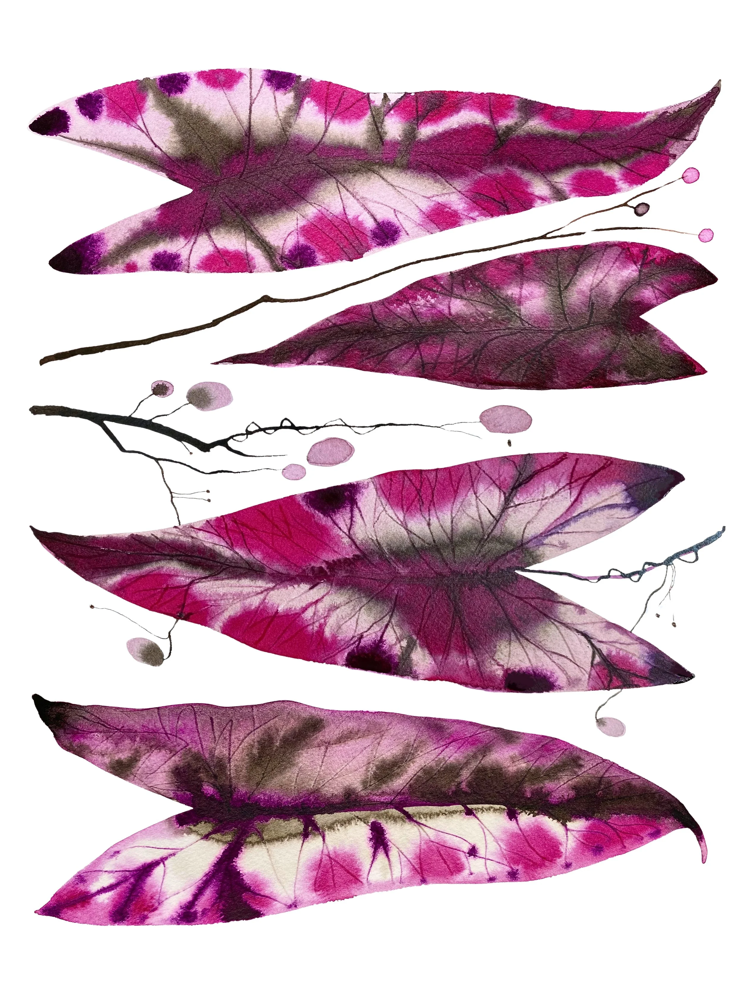 Aubergine Leaves