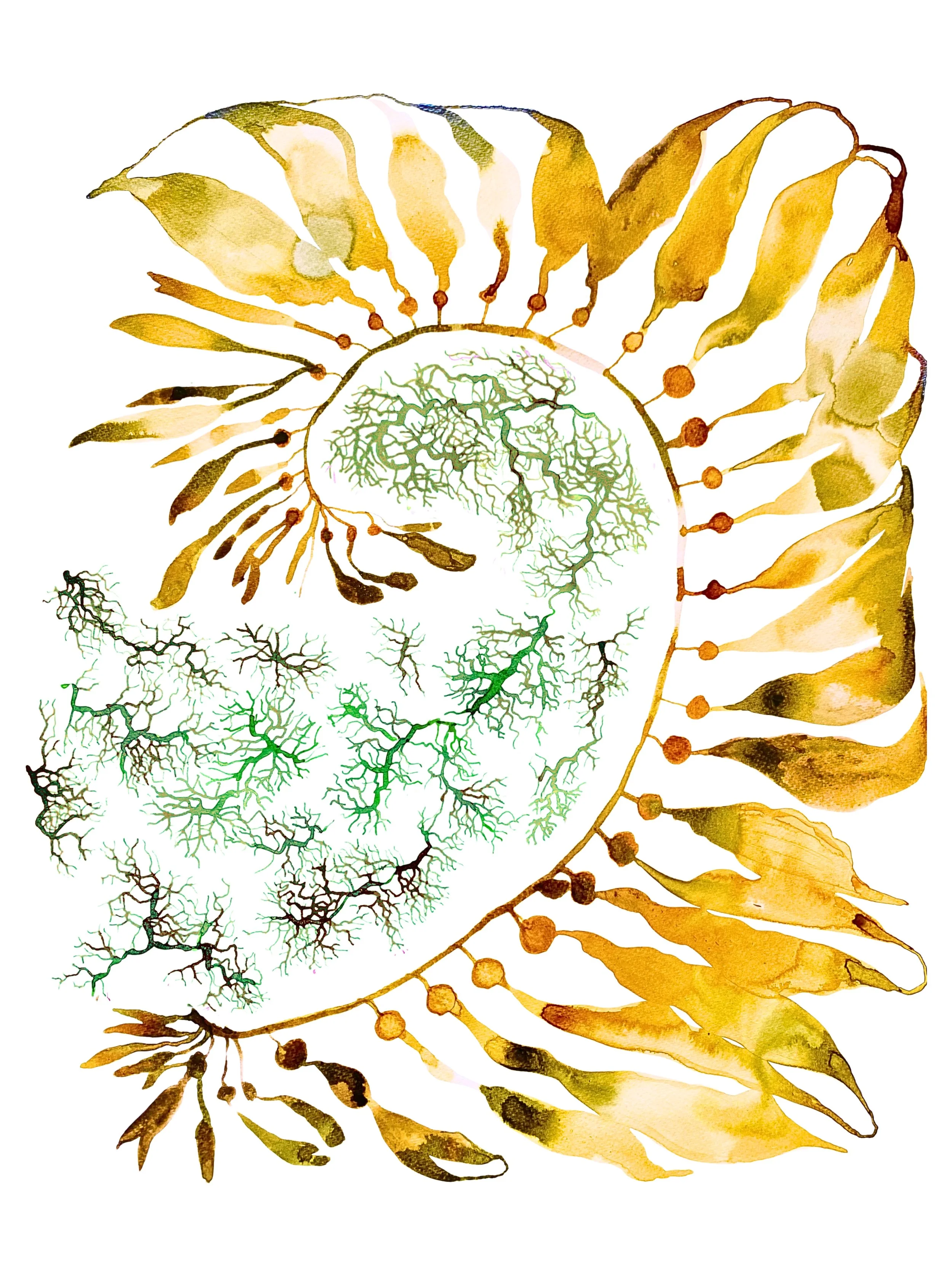 Organic Watercolors.zip - 8.jpeg