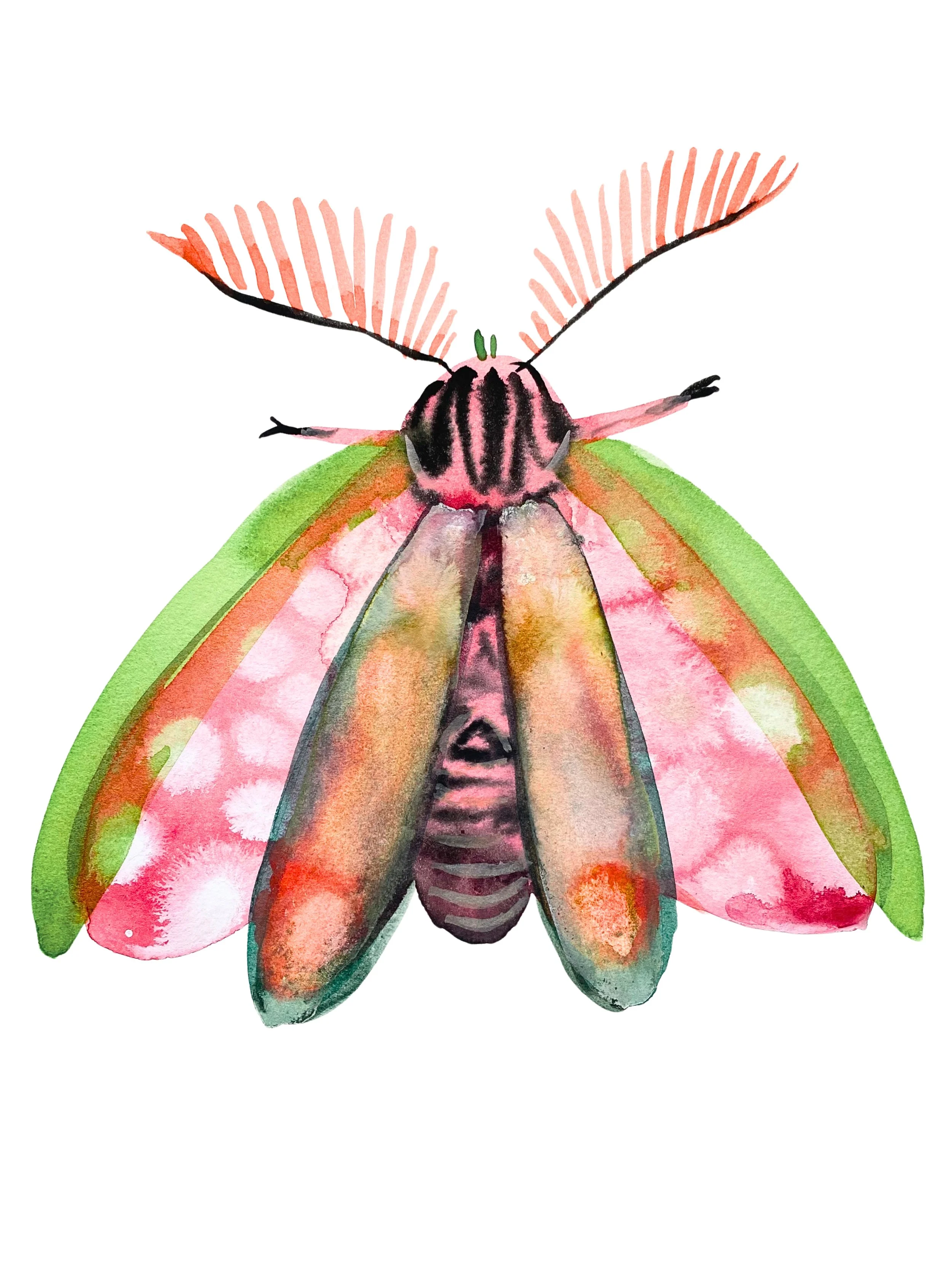 Organic Watercolors - 4.jpeg