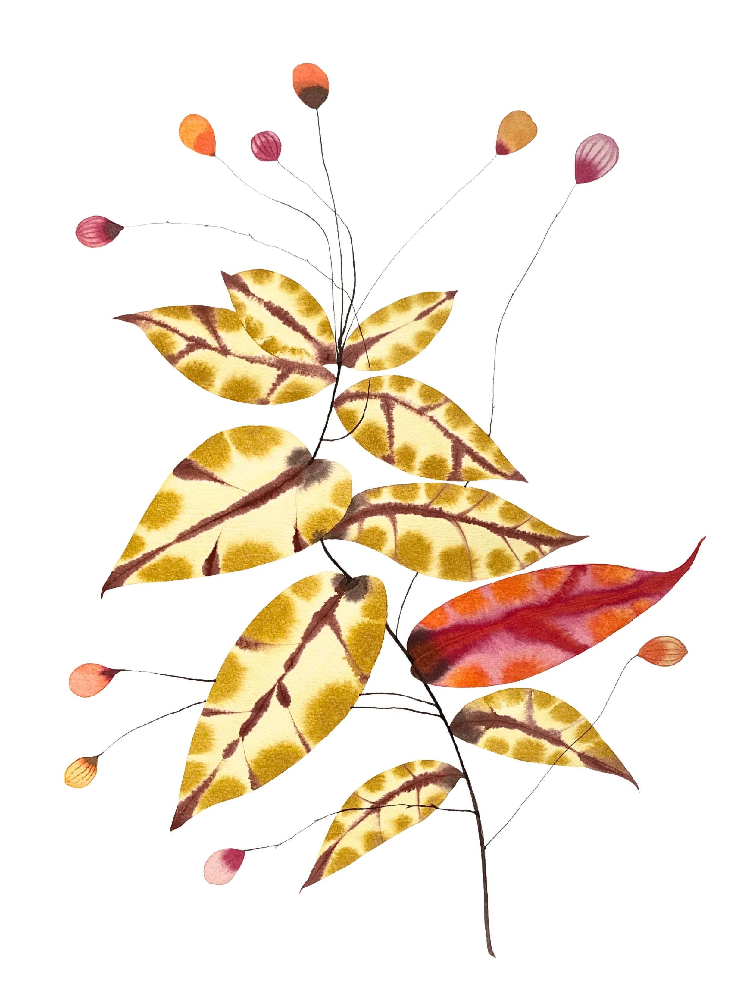 Organic Watercolors.jpeg