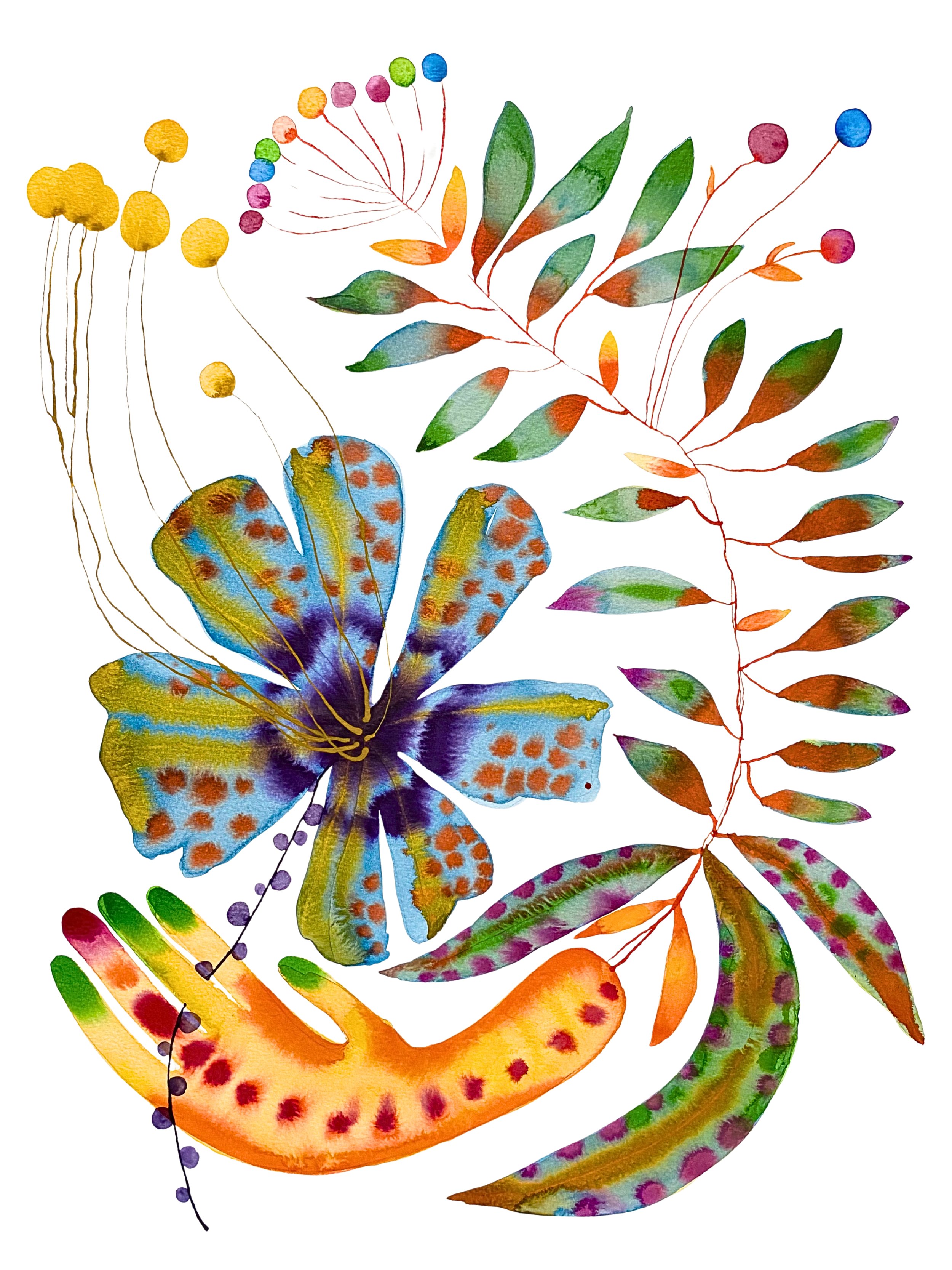 Organic Watercolors.jpeg