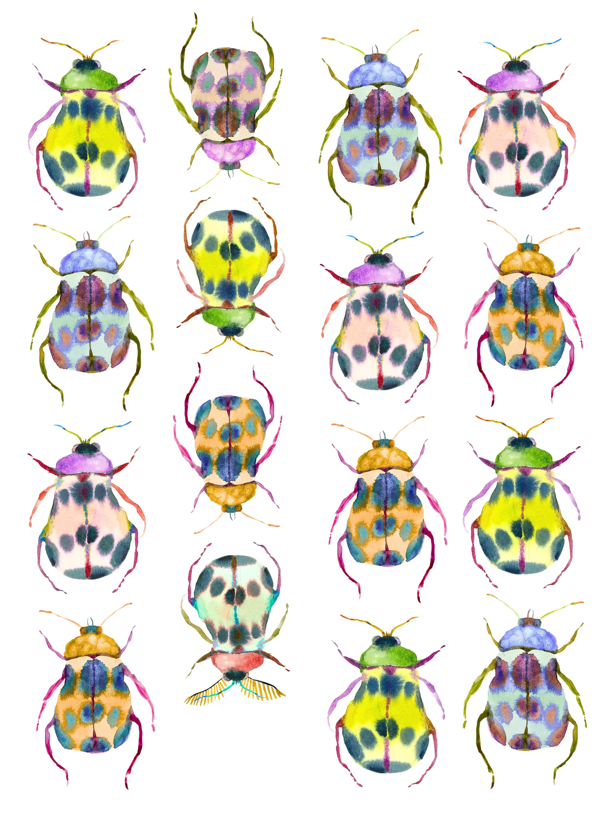 Organic Watercolors.jpeg