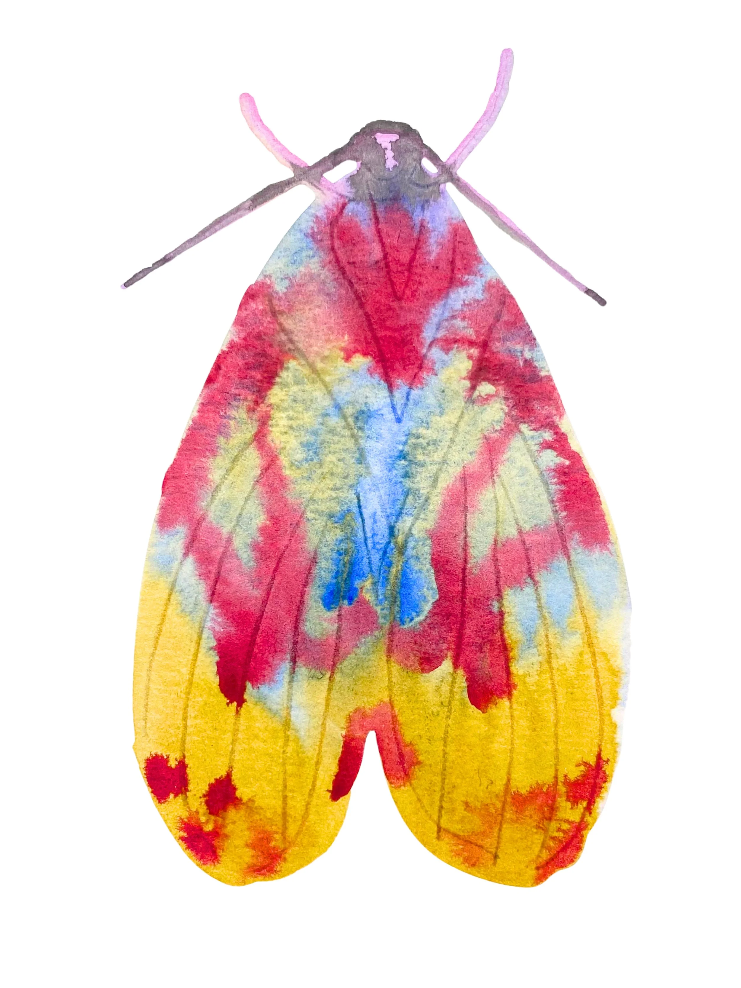 Organic Watercolors.zip - 13.jpeg