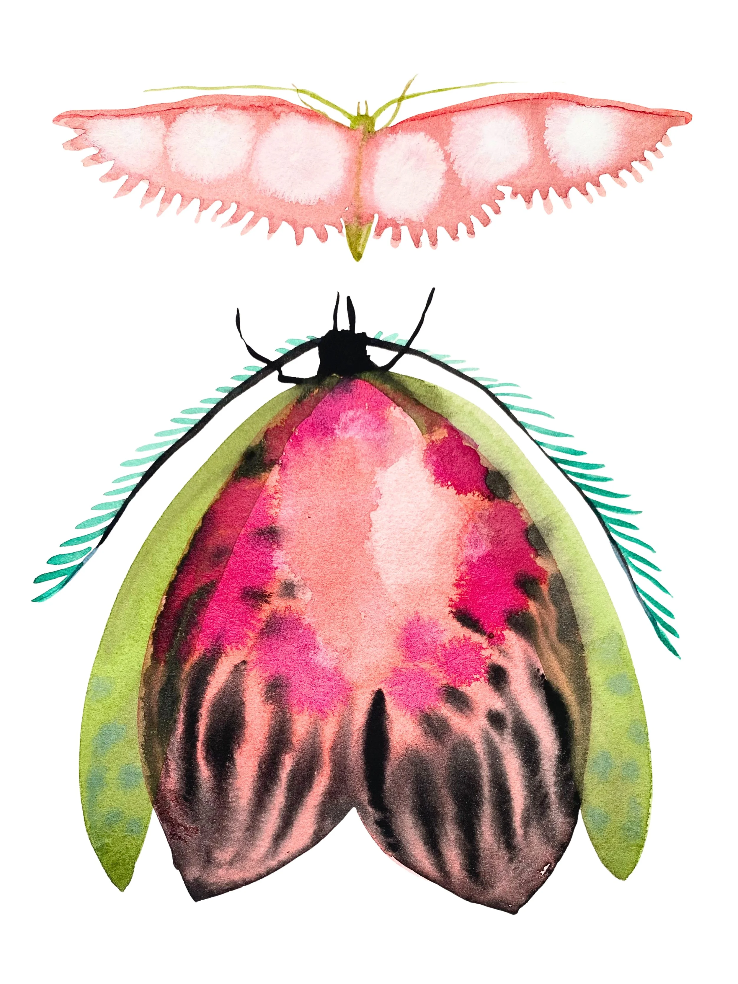 Organic Watercolors - 3.jpeg