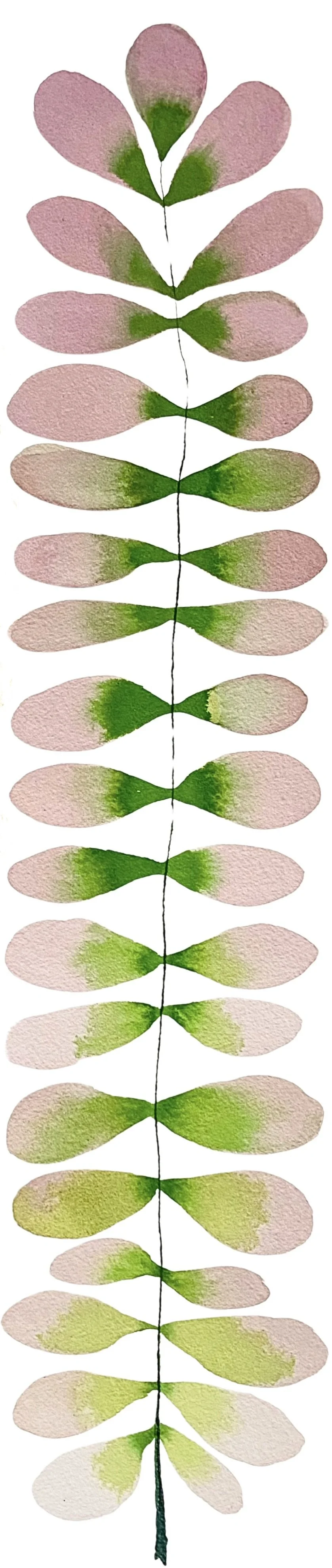 Organic Watercolors - 1.jpeg