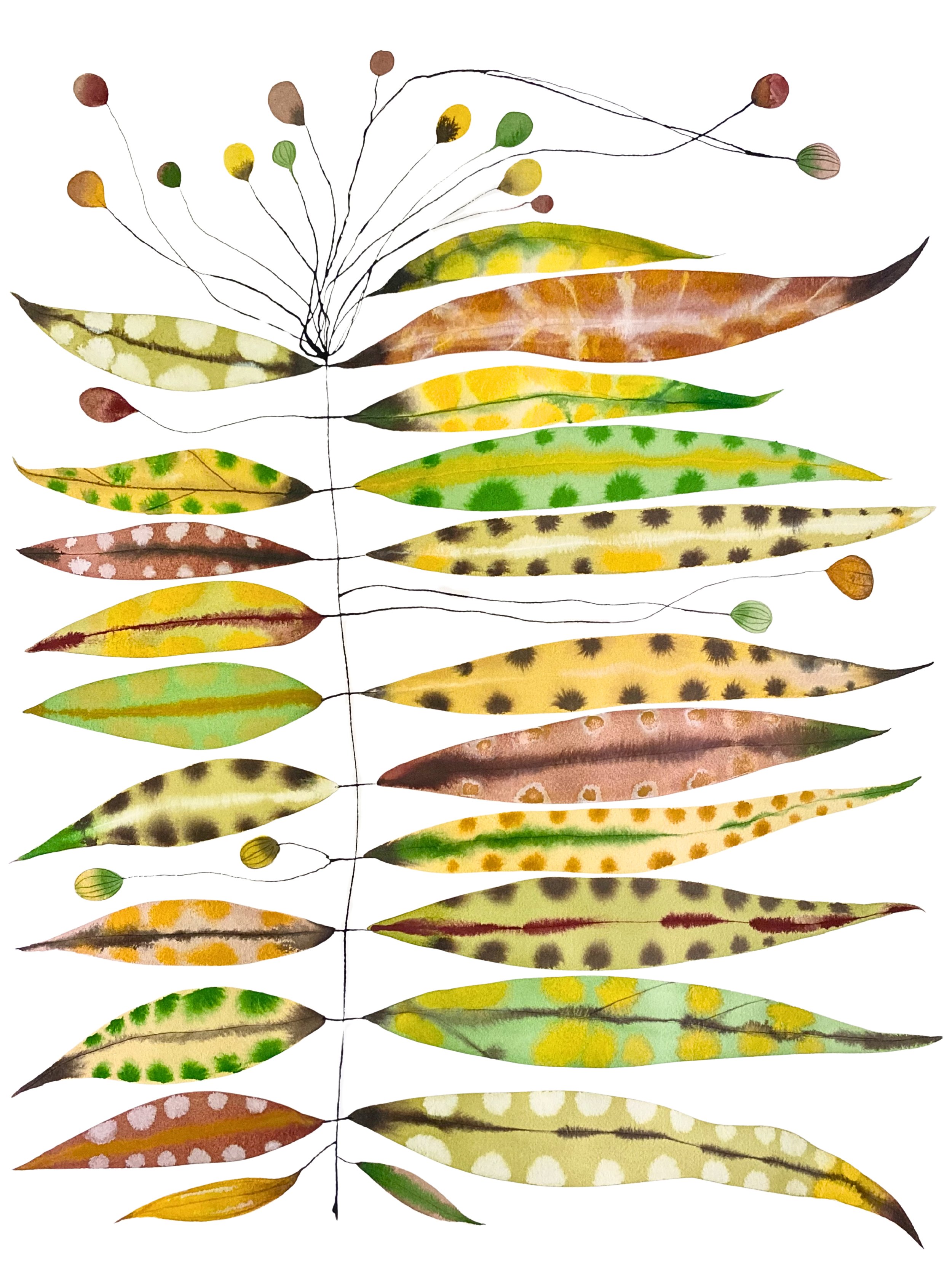 Organic Watercolors.jpeg