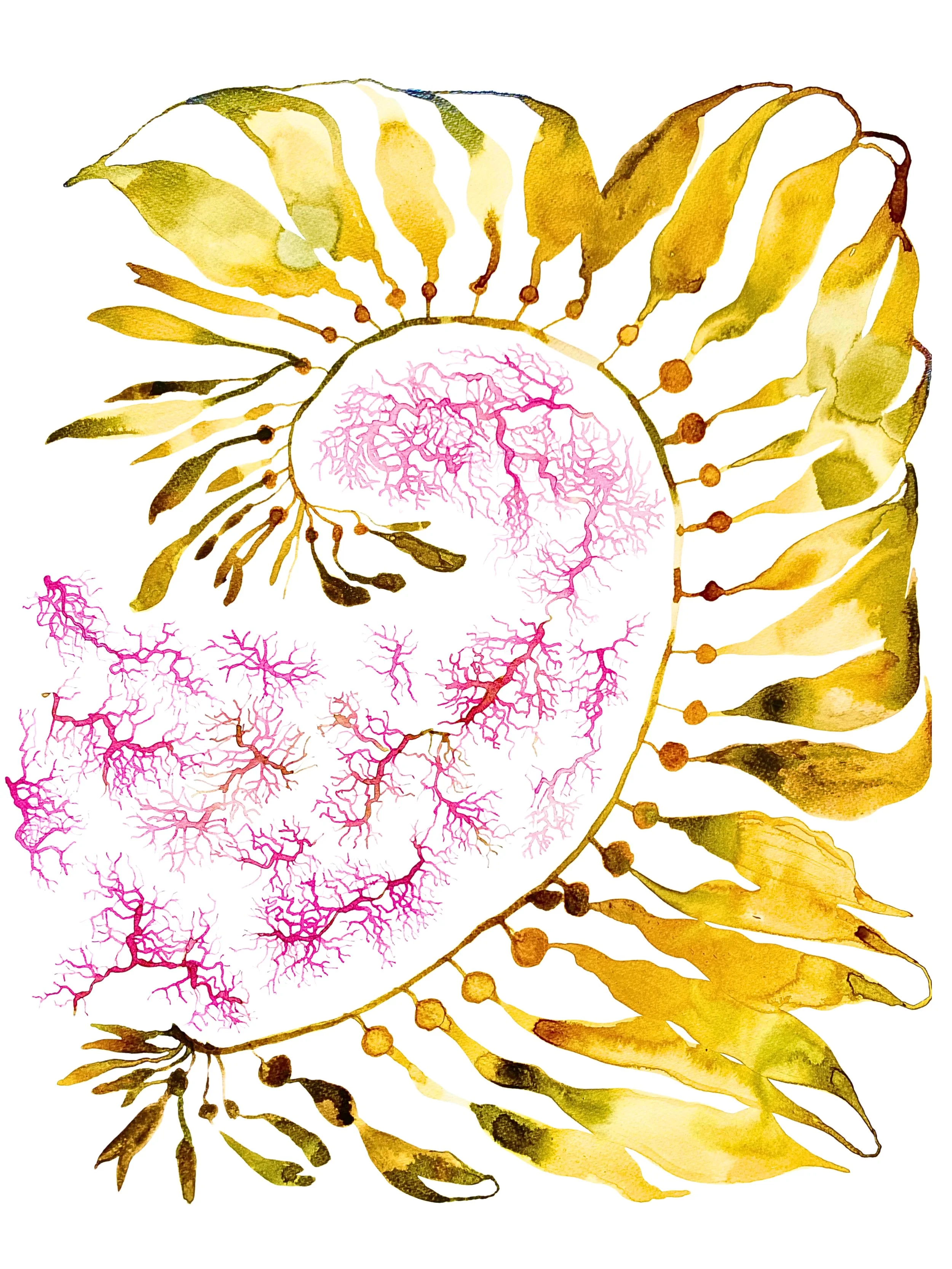 Organic Watercolors.zip - 2.jpeg