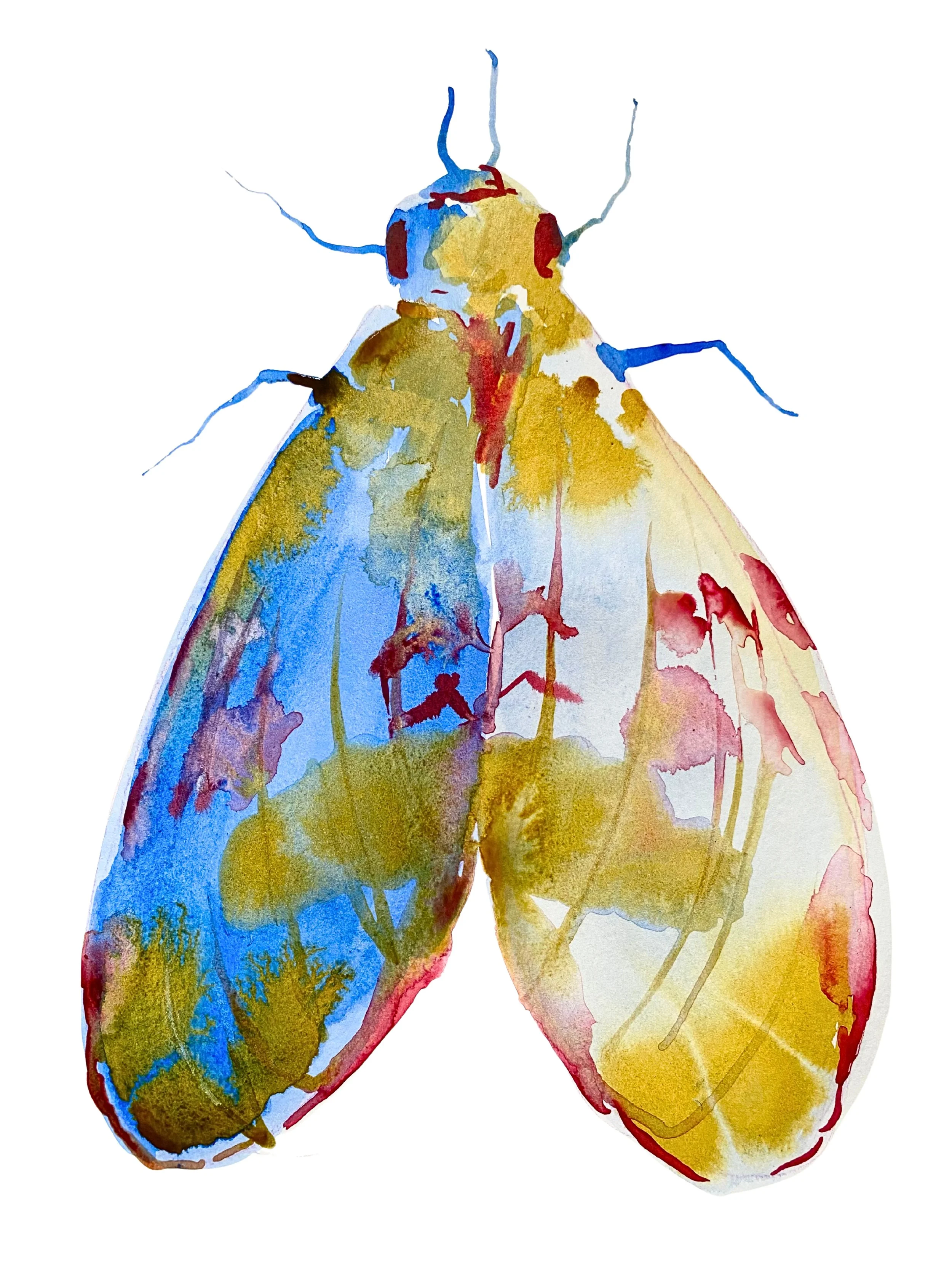 Organic Watercolors.zip - 3.jpeg