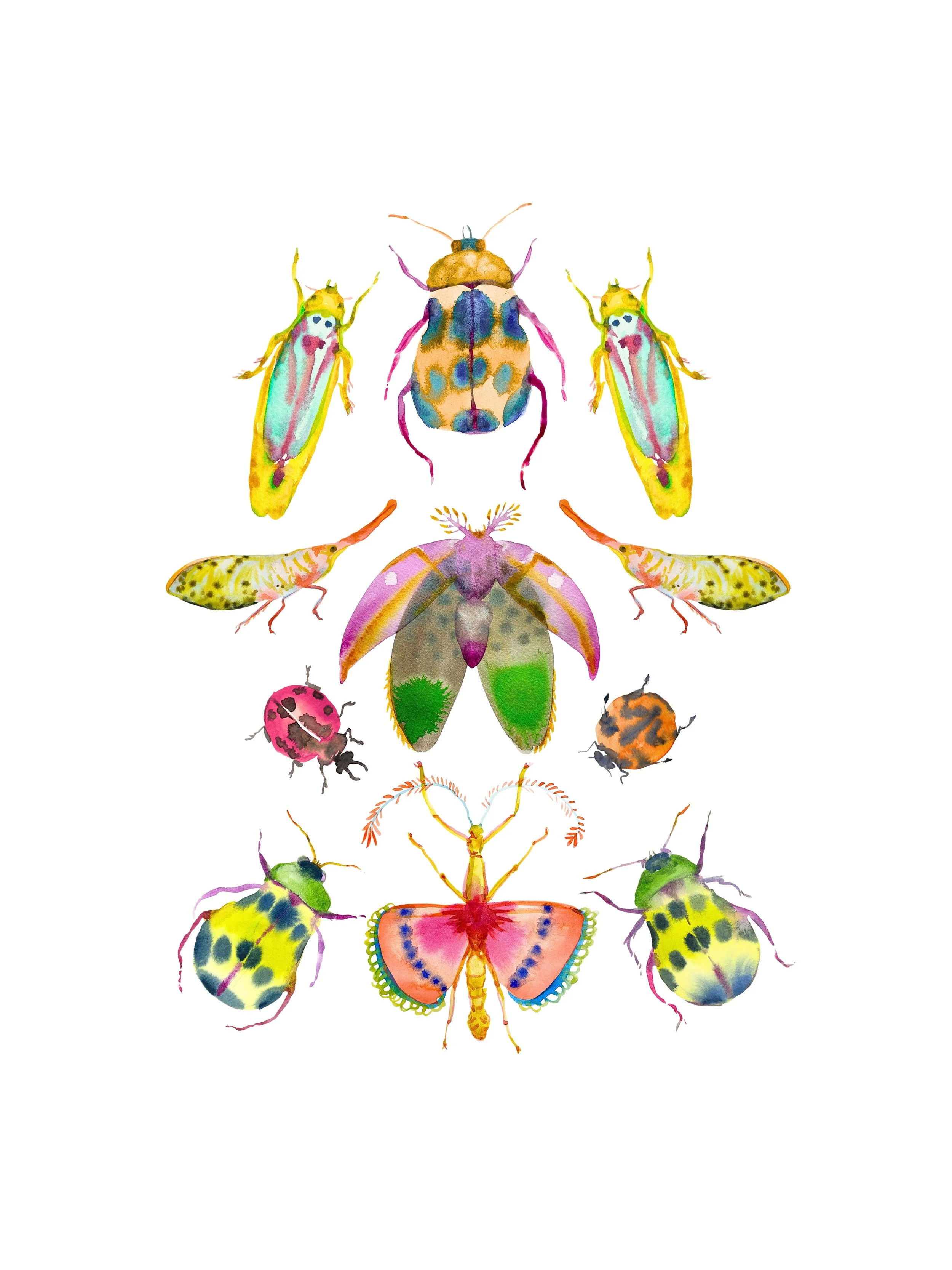 Organic Watercolors.jpeg