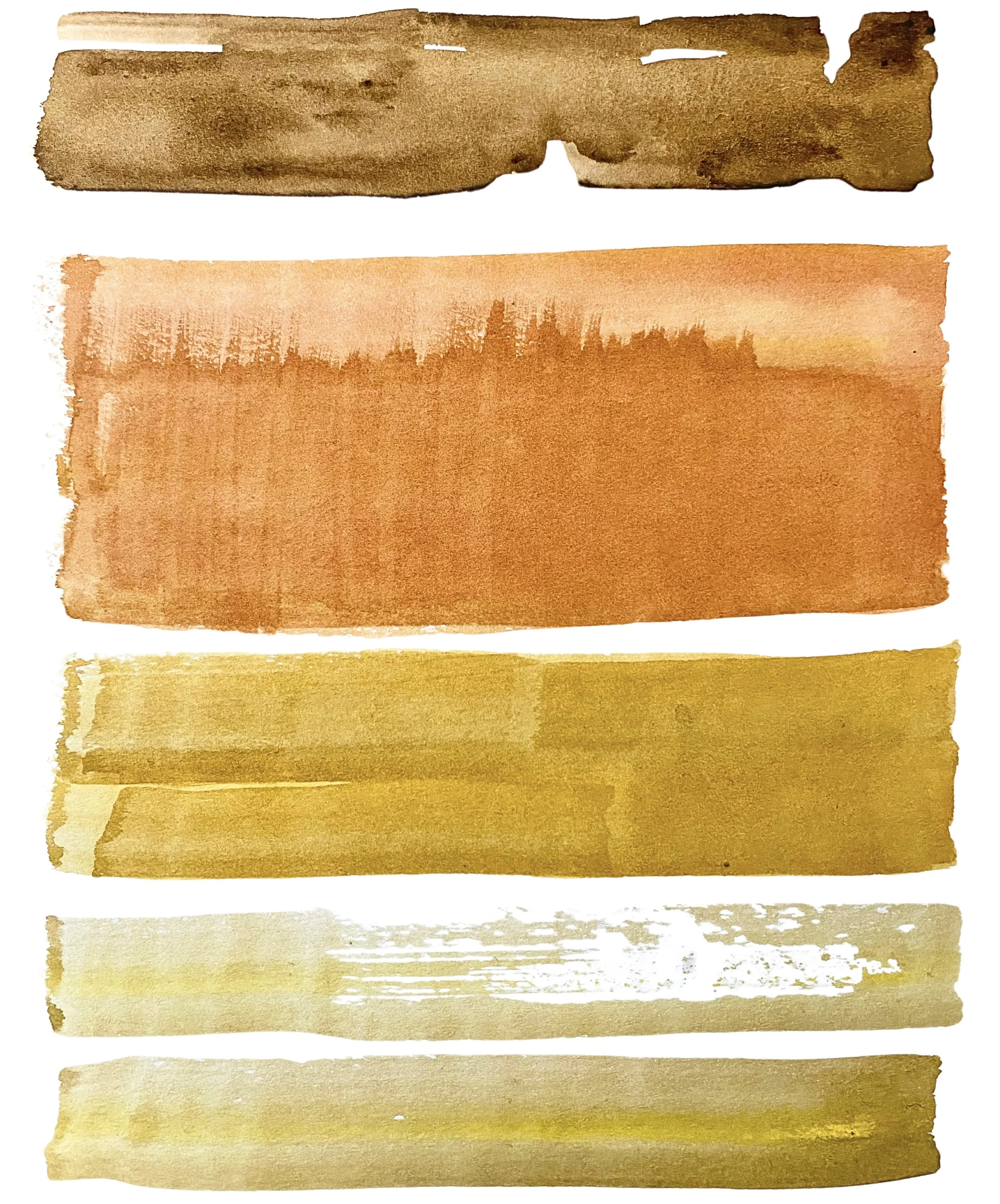 Organic Watercolors.jpg