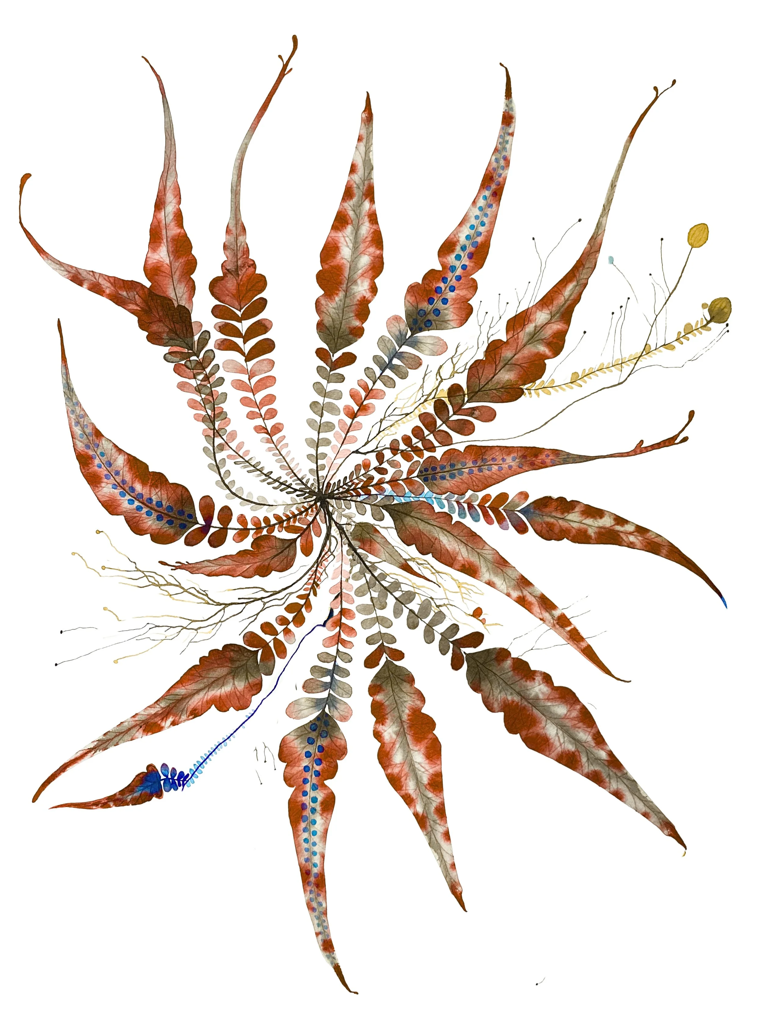 Organic Watercolors.jpeg