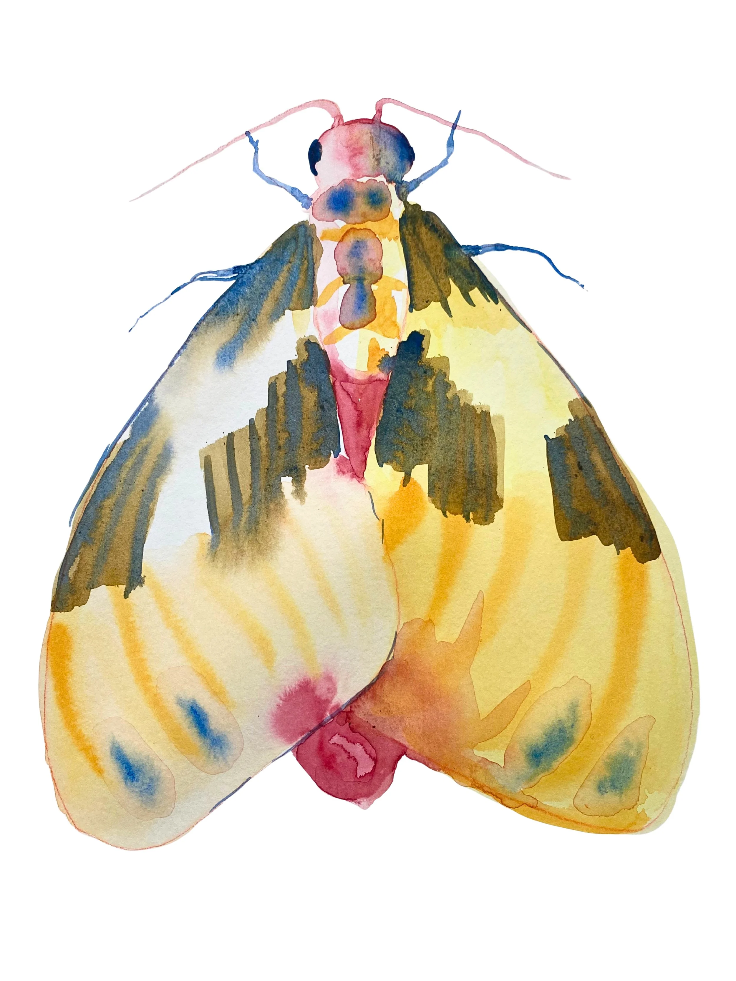 Organic Watercolors.zip - 4.jpeg