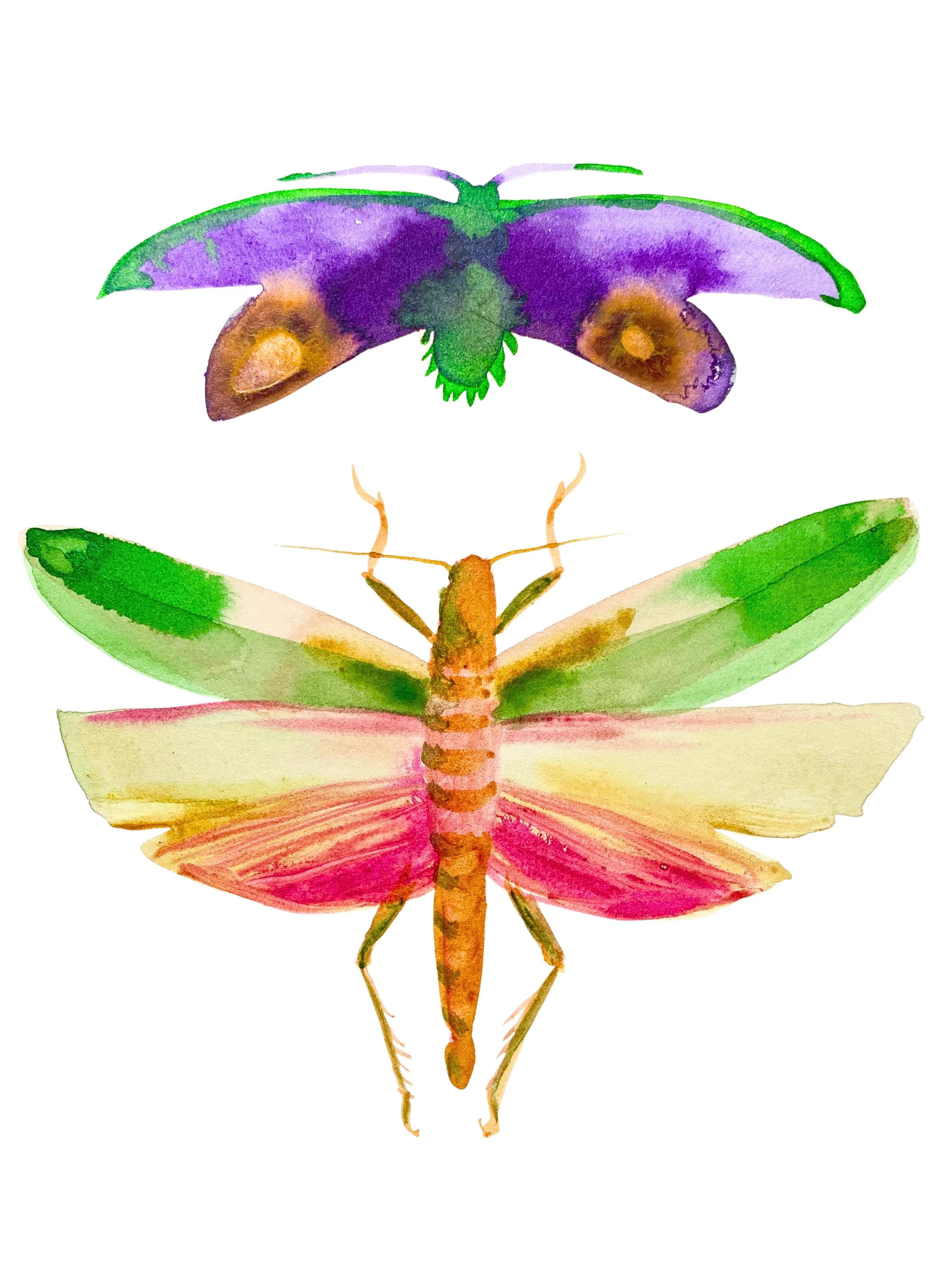 Organic Watercolors - 9.jpeg