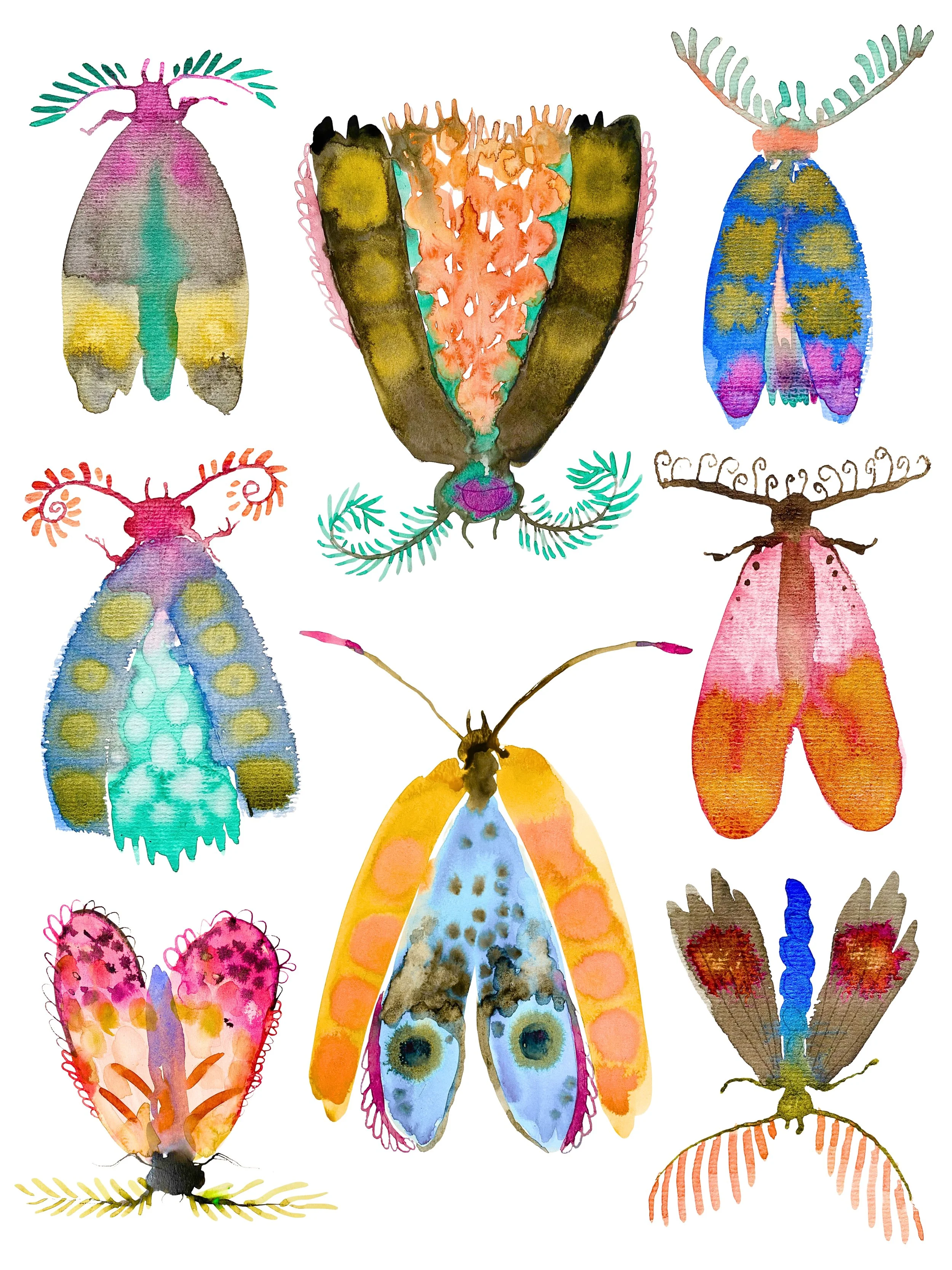 Organic Watercolors.jpeg