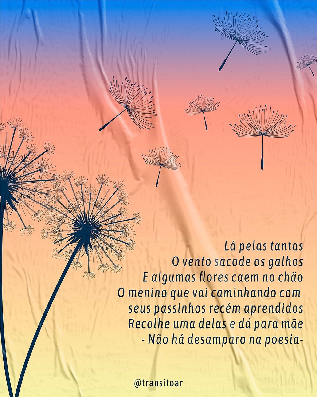 L&aacute; pelas tantas
O vento sacode os galhos
E algumas flores caem no ch&atilde;o
O menino que vai caminhando com seus passinhos rec&eacute;m aprendidos
Recolhe uma delas e d&aacute; para m&atilde;e
- N&atilde;o h&aacute; desamparo na poesia-
.
.
